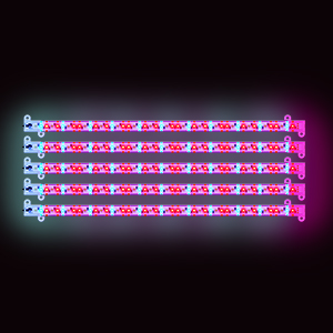 Courtyard lamp，Plant lamp，Appearance design，industrial design，Product Master，