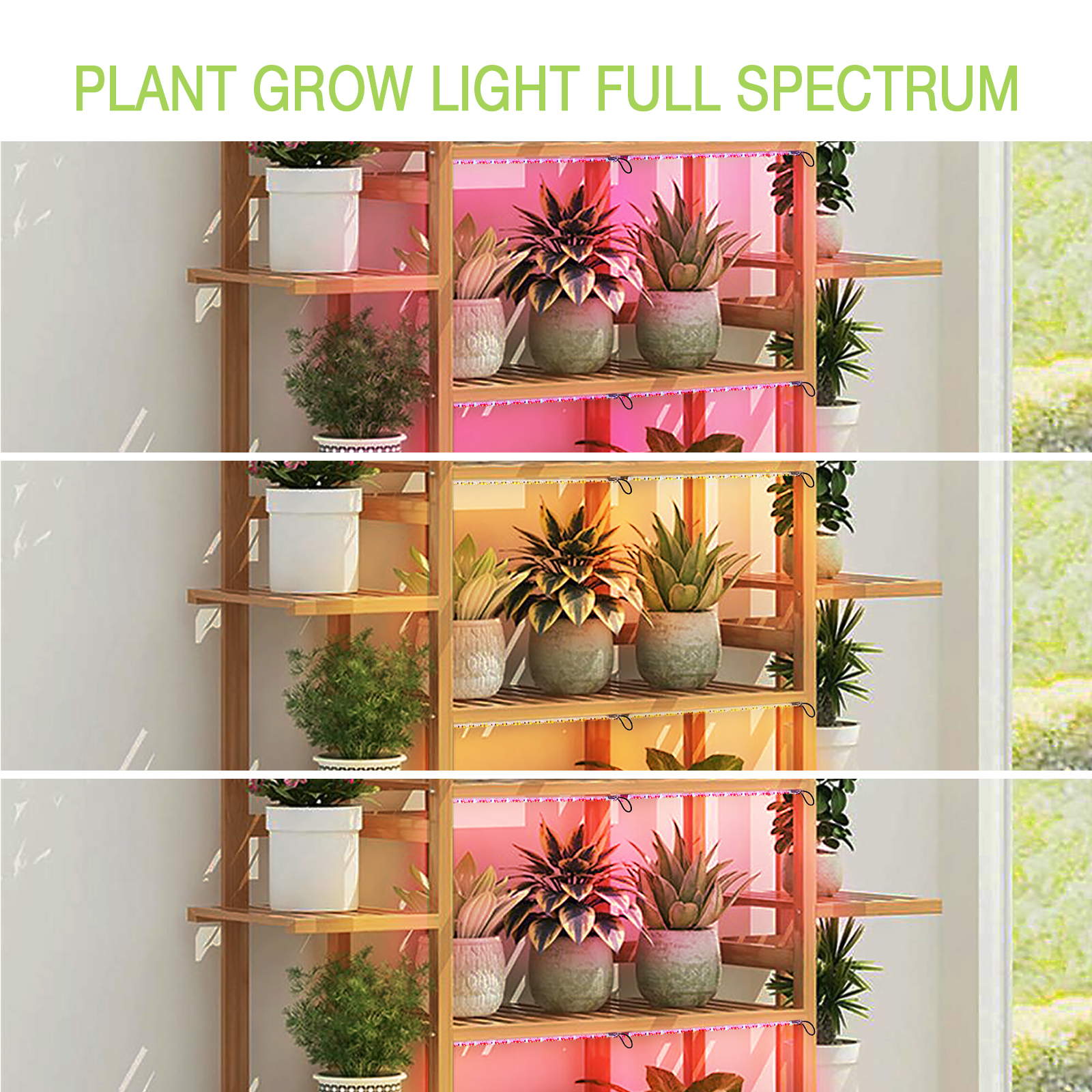 Courtyard lamp，Plant lamp，Appearance design，industrial design，Product Master，