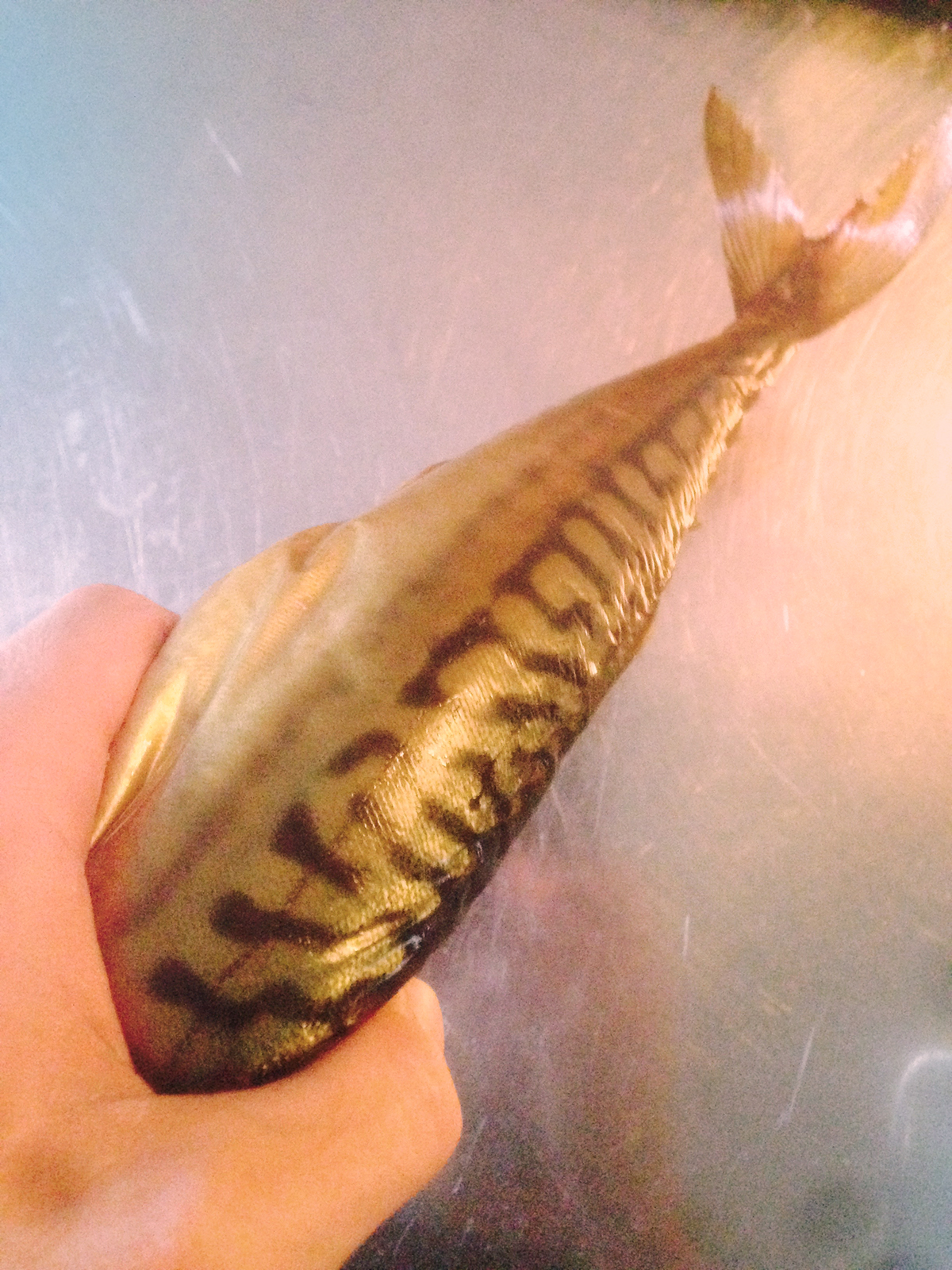 Reprint，traffic，Driving on ice，Ice glider，concept，