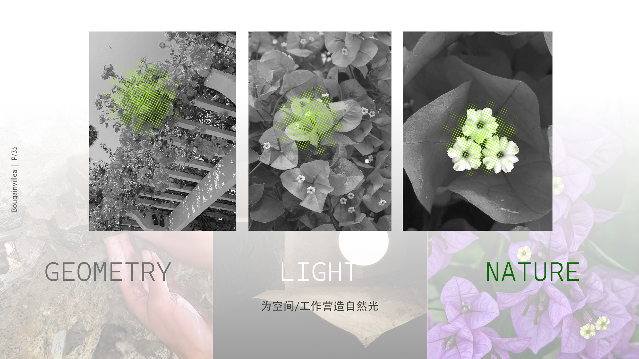 sample reels，student，razor，chair，Hand warmer，Floor lamp，