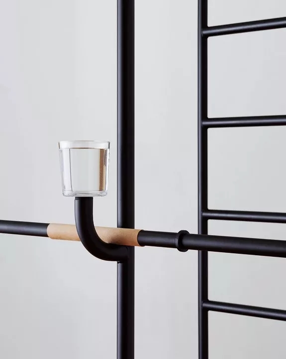 Carwyn，Royal，Dominik Krug，equipment，Liese Dewulf，