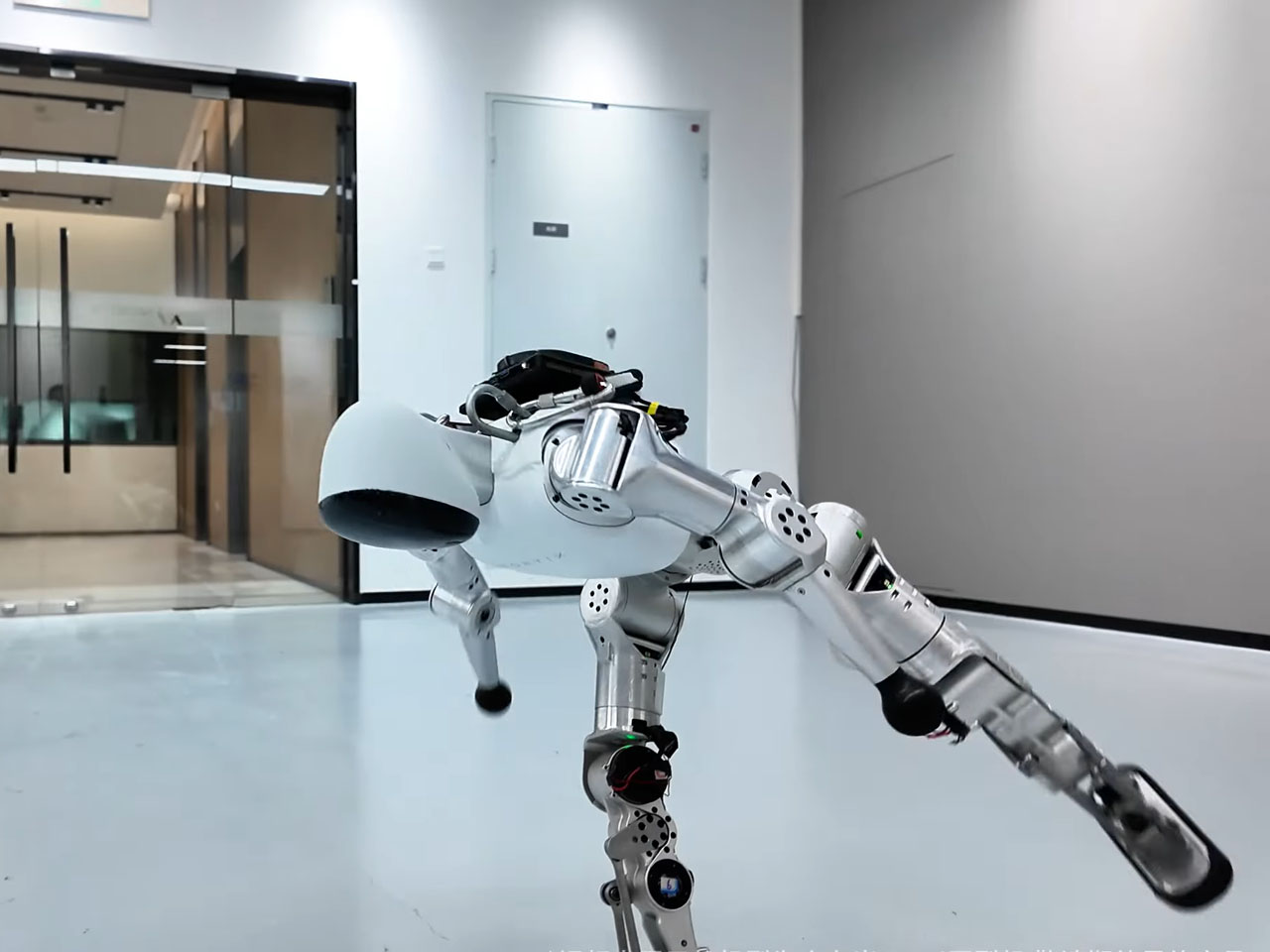 Bumi，robot，Digital，artificial intelligence，