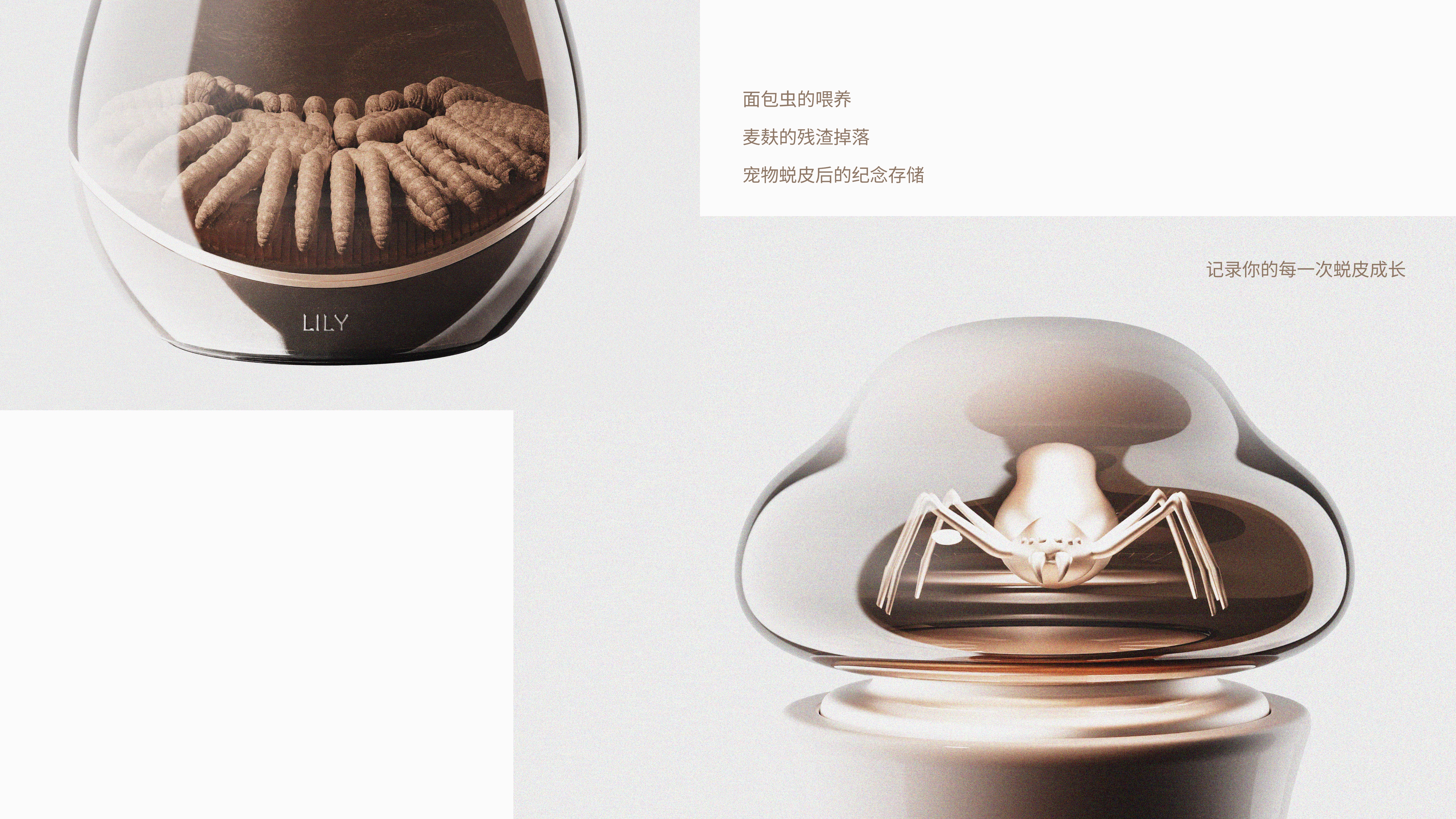 Modular design，Pet design，Commodity Design，Bionics Design ，