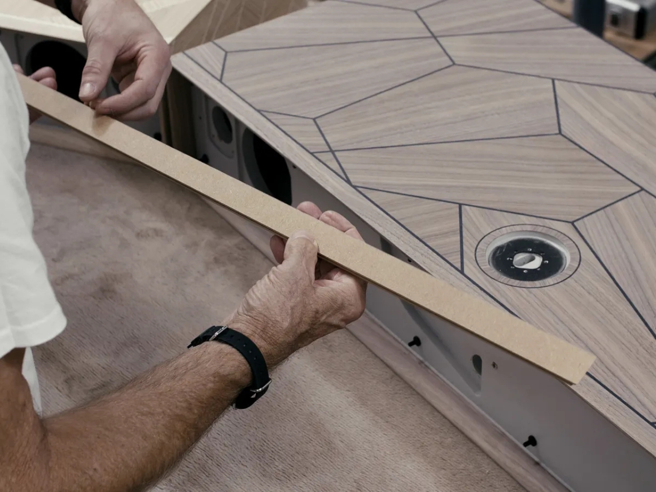 R810 MiE，sound，Digital，electronic product，