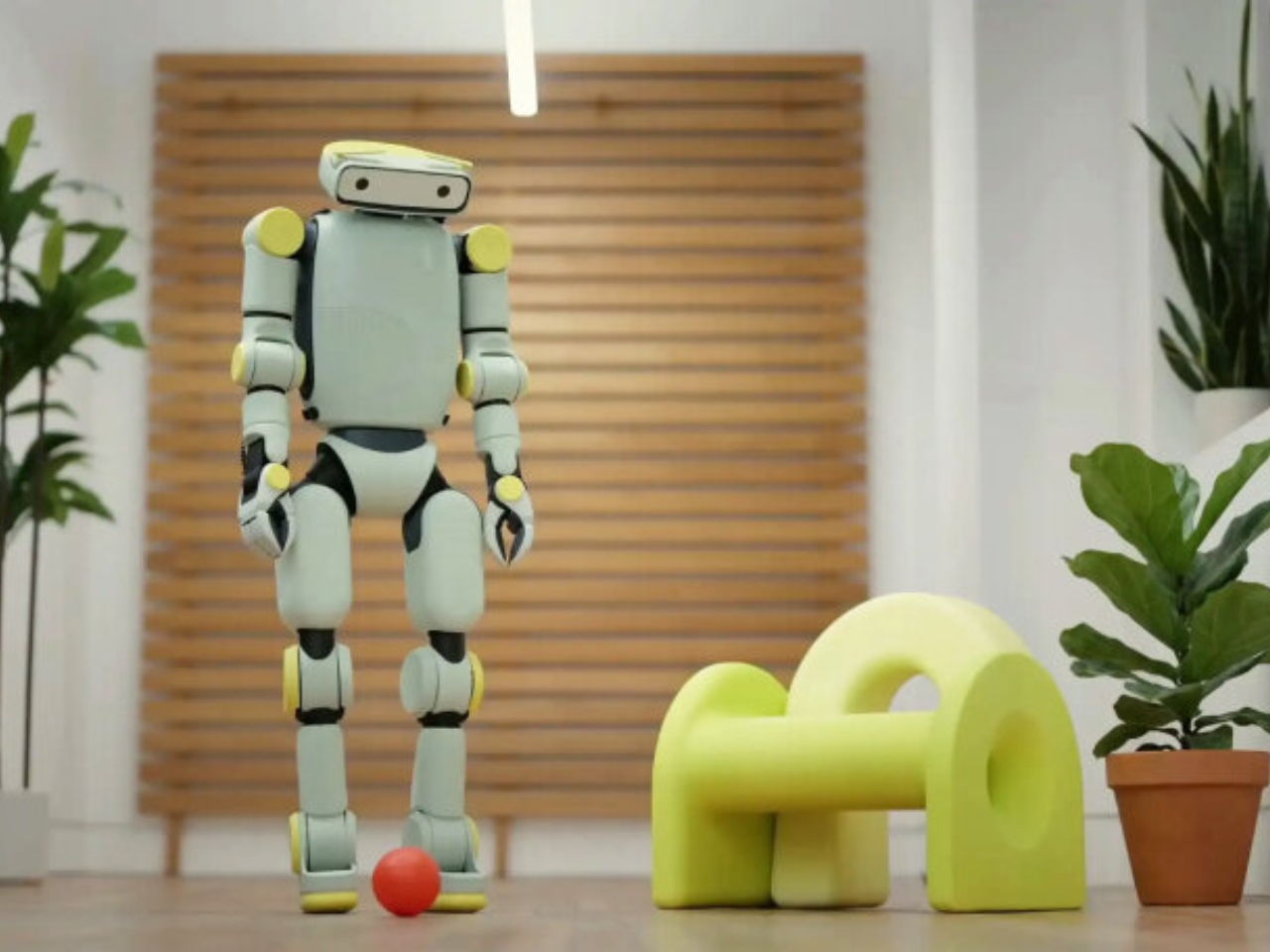 Sprout，robot，artificial intelligence，Digital，