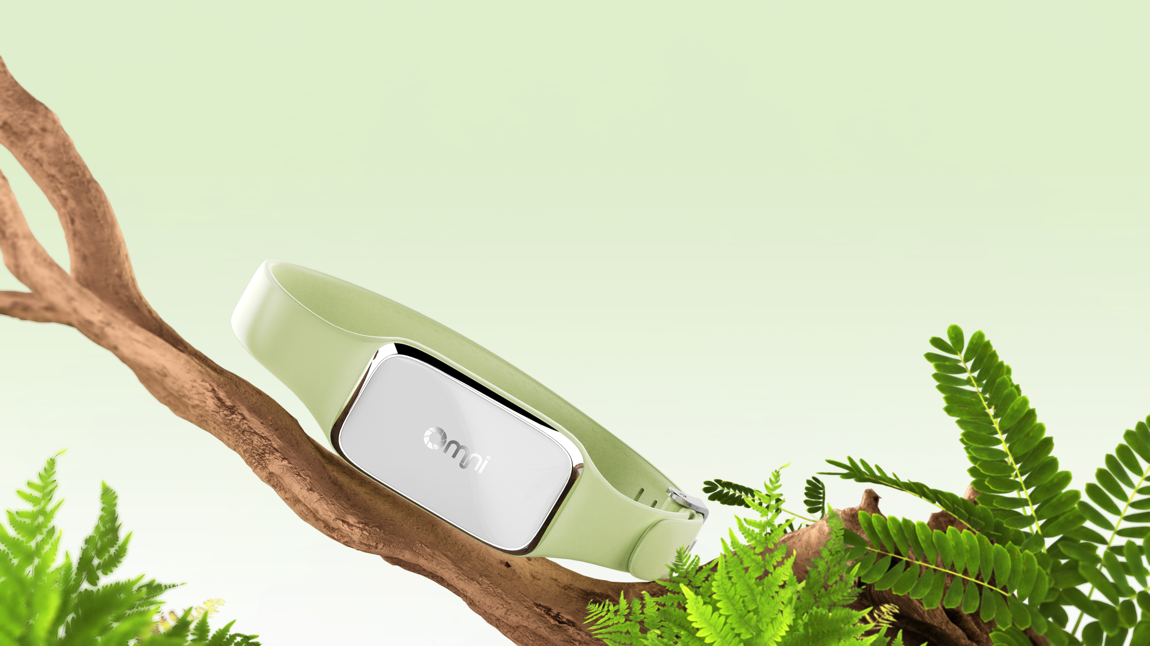 Pets，a collar for a horse，positioner，