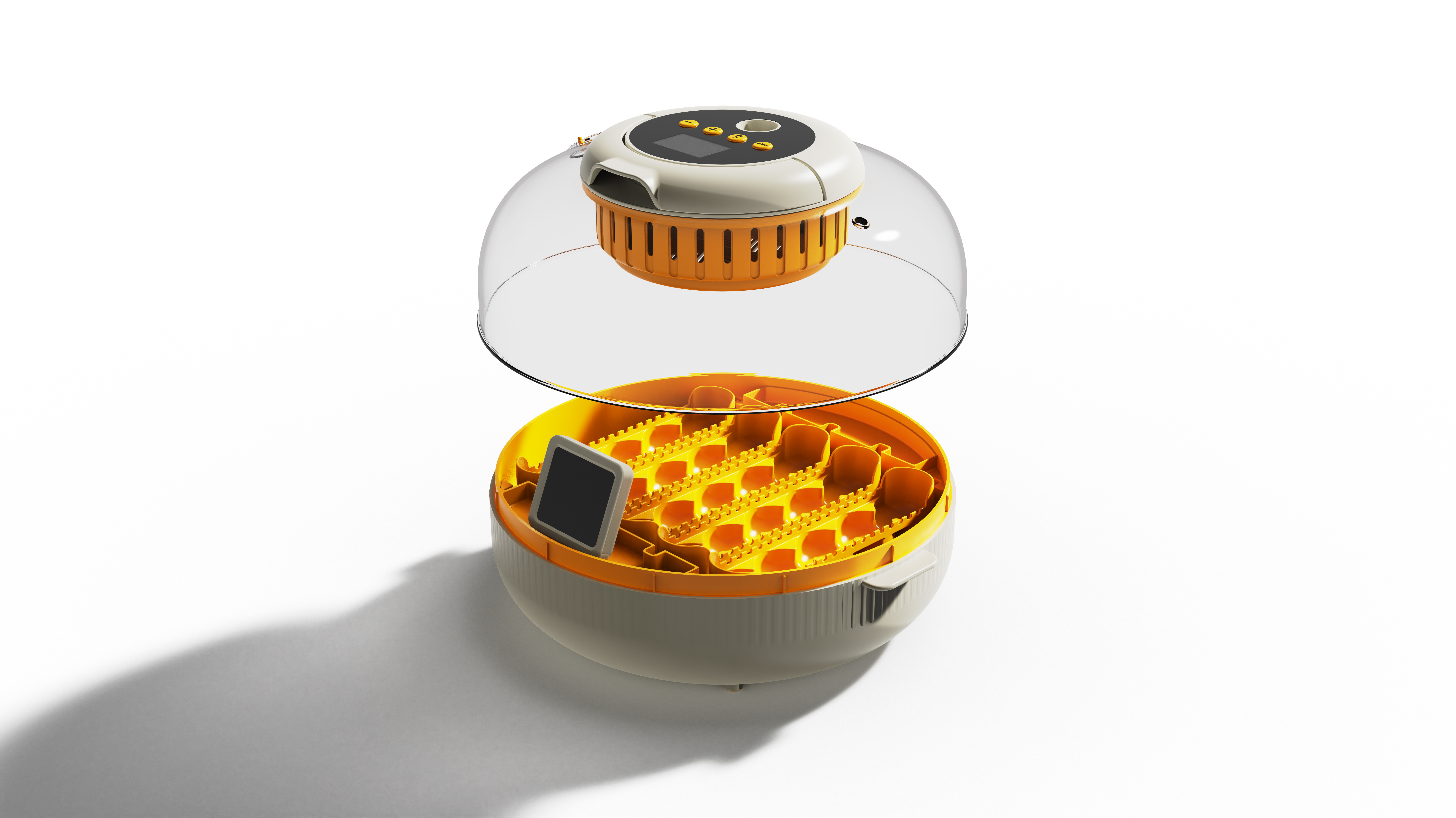 egg, chick incubator, chick hatching，