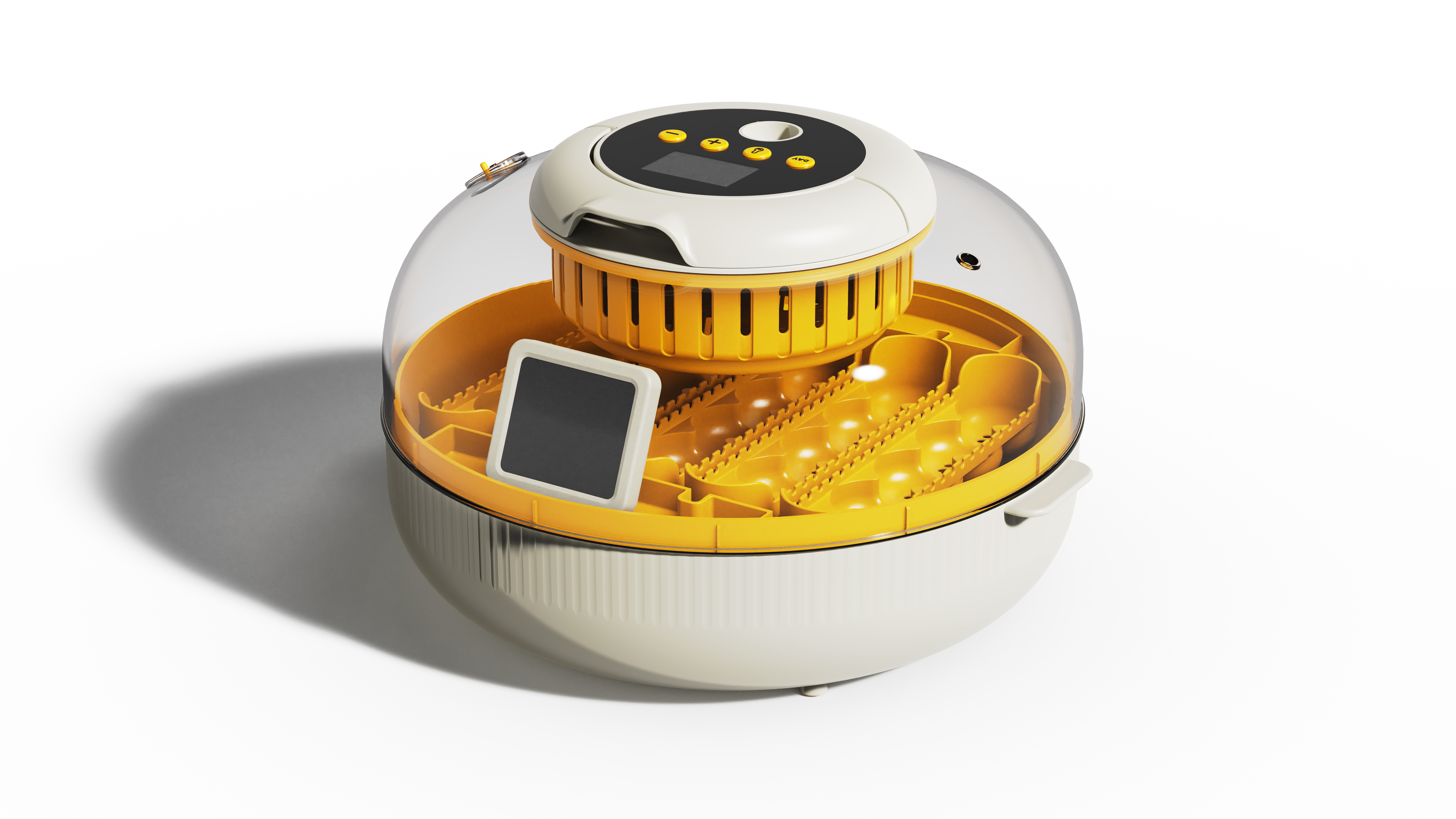 egg, chick incubator, chick hatching，