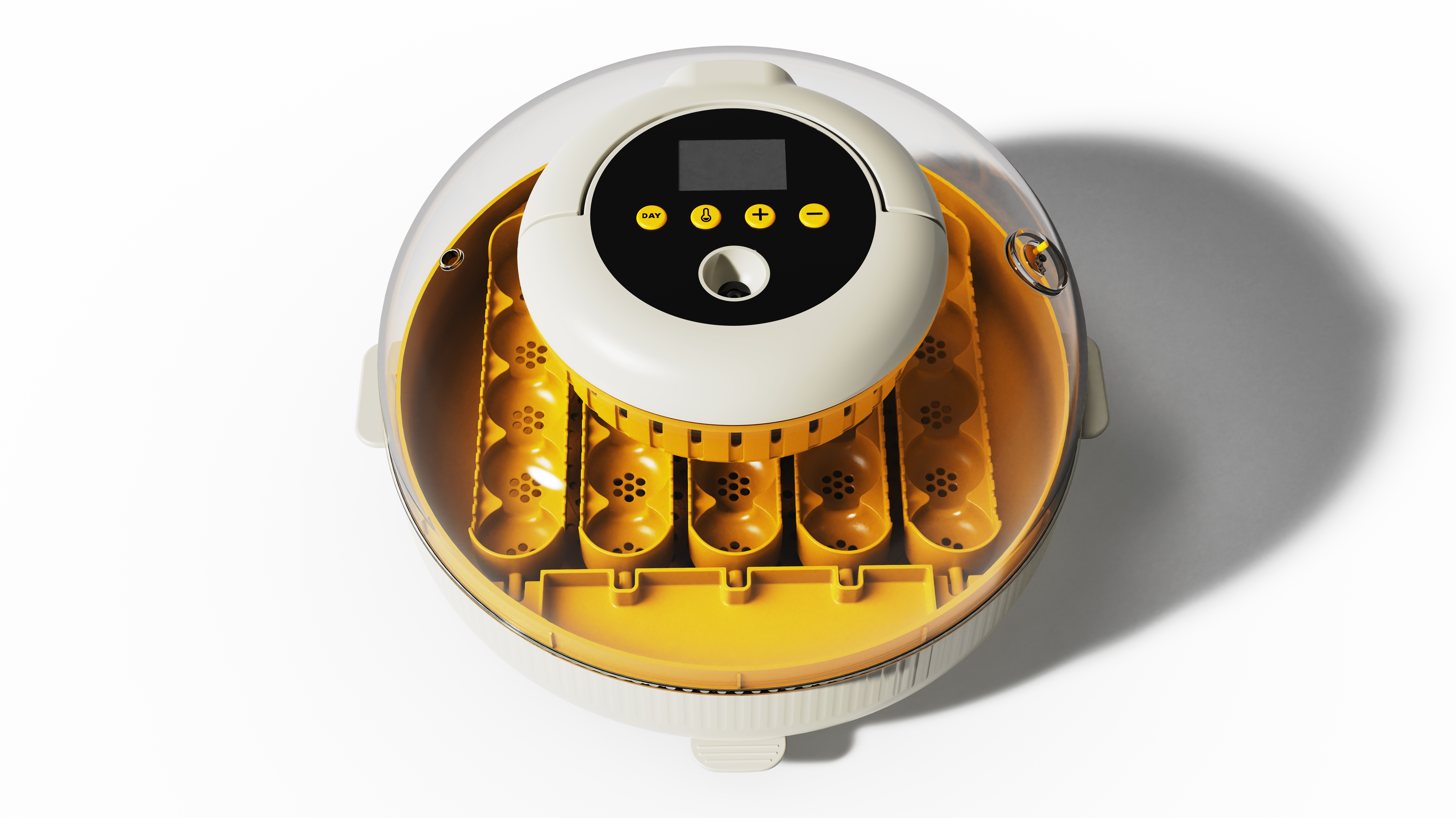 egg, chick incubator, chick hatching，