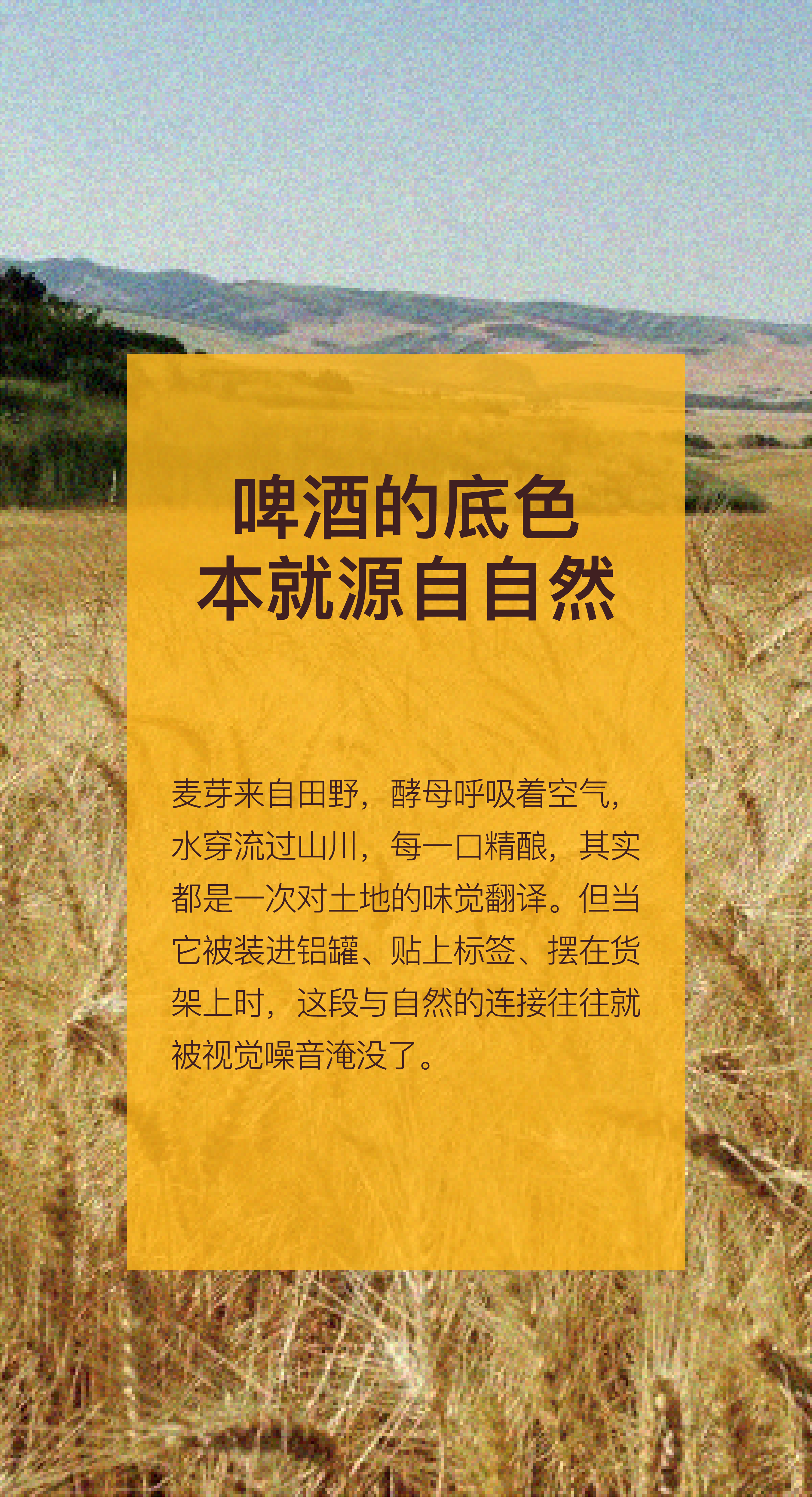 packing design，Beer packaging，Illustration，Oettinger，Stanken，beverage packaging，