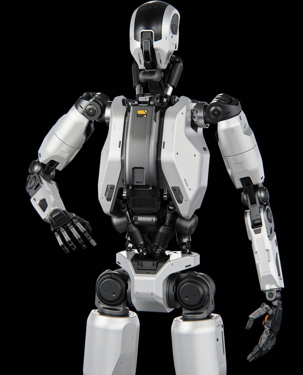 Humanoid robot，