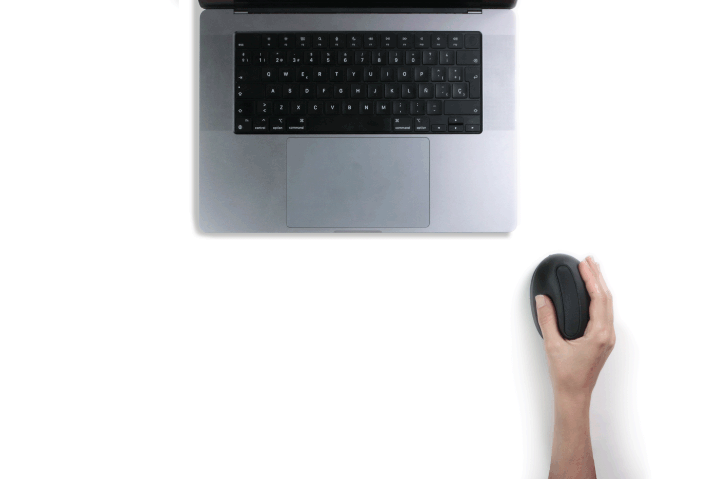 Oloid，Ergonomic vertical mouse，electronic product，Digital，