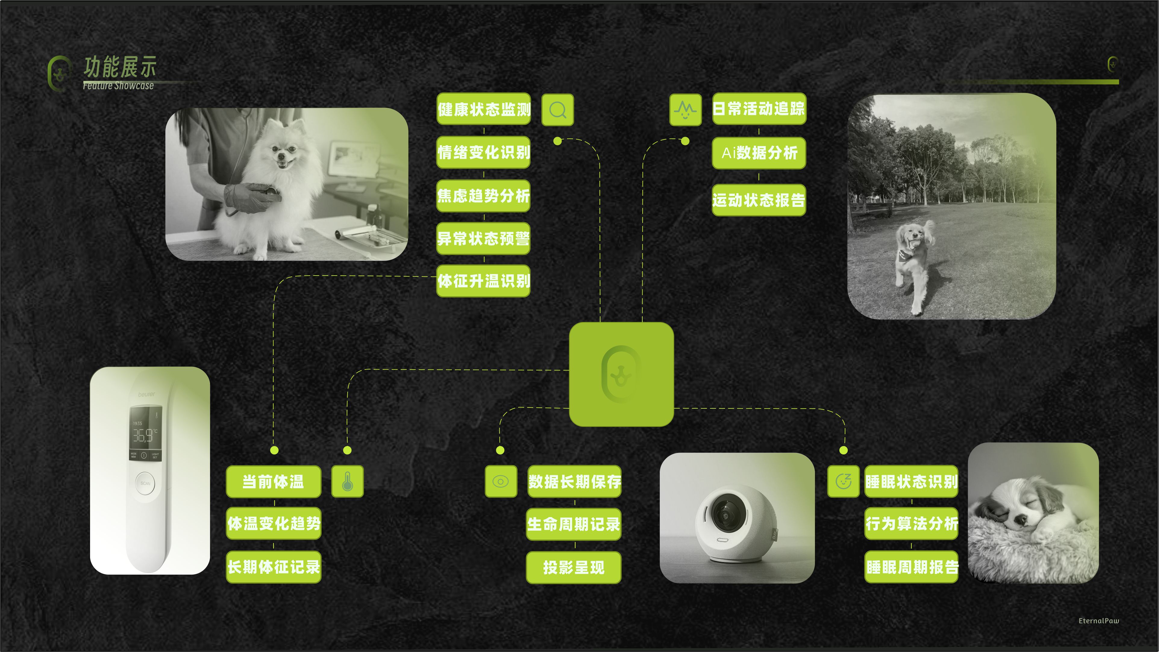 concept，Dog collar，emotion，Pet health，Holographic projection，