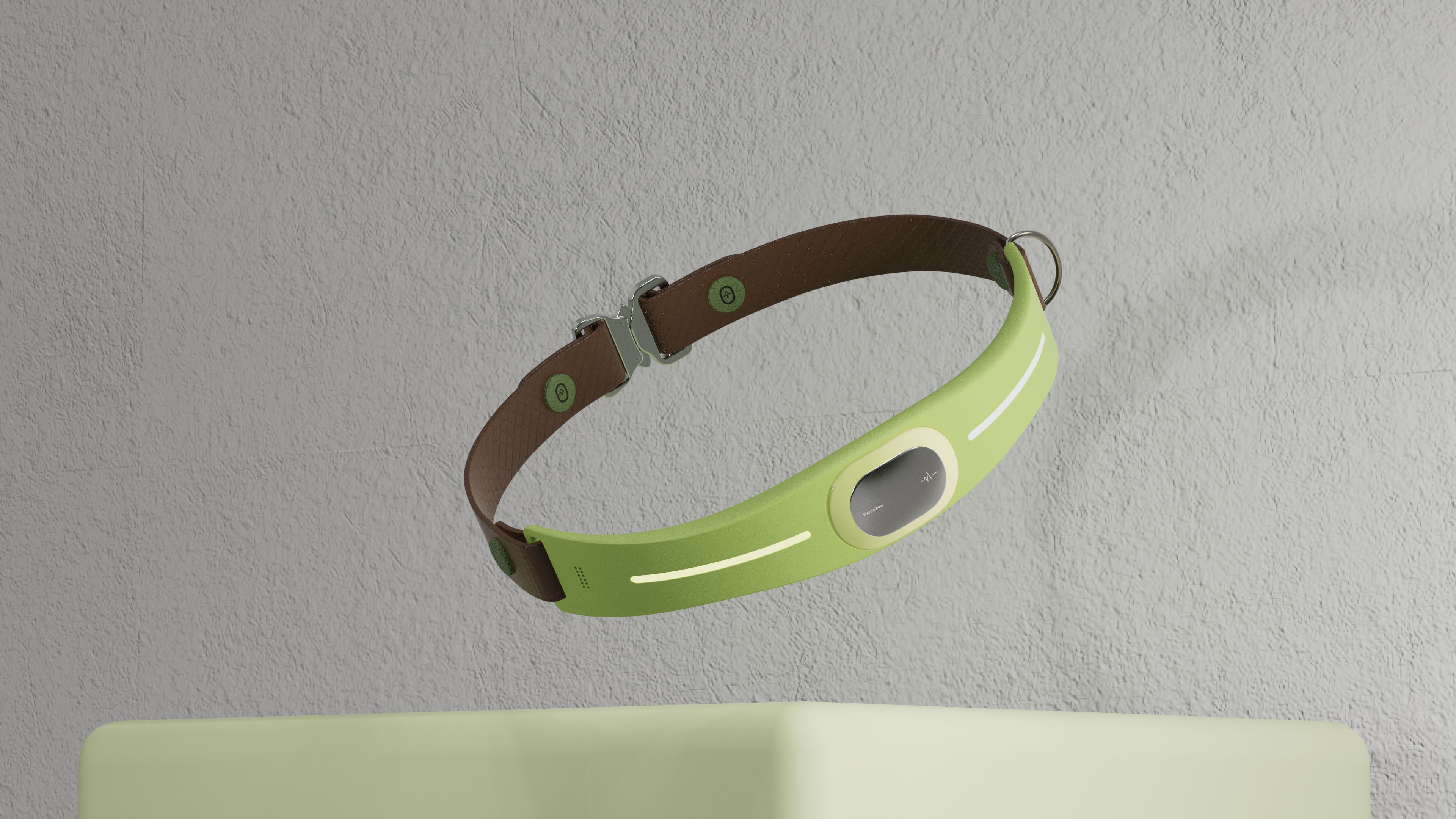 concept，Dog collar，emotion，Pet health，Holographic projection，