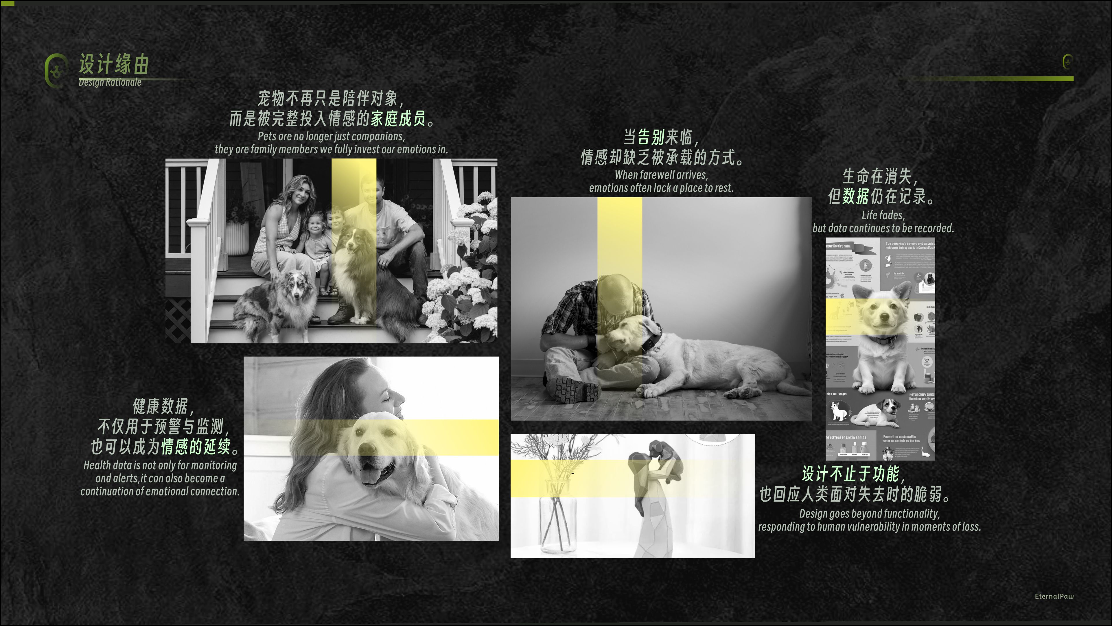 concept，Dog collar，emotion，Pet health，Holographic projection，