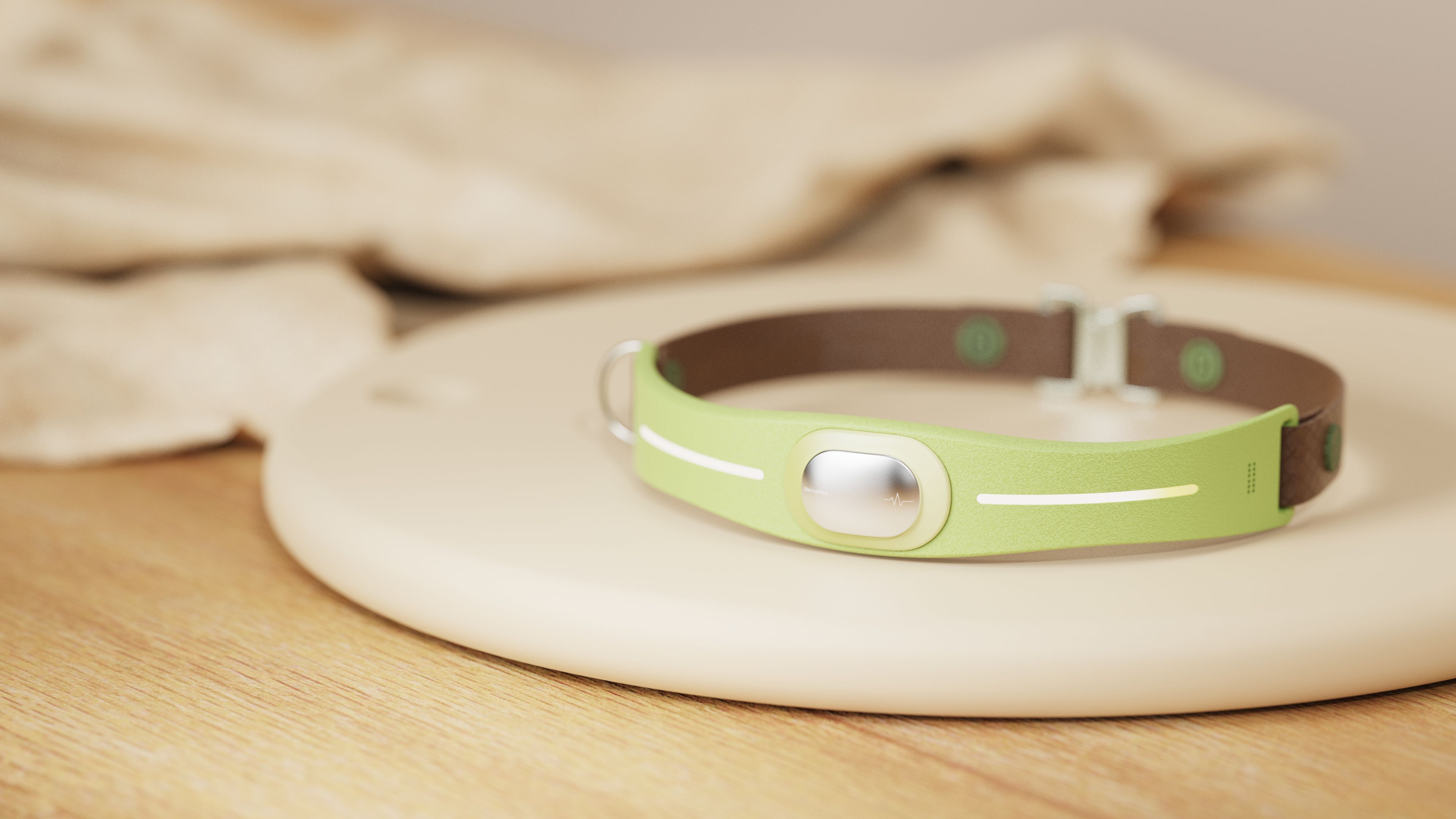 concept，Dog collar，emotion，Pet health，Holographic projection，