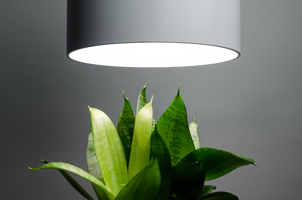 lamps and lanterns，white，