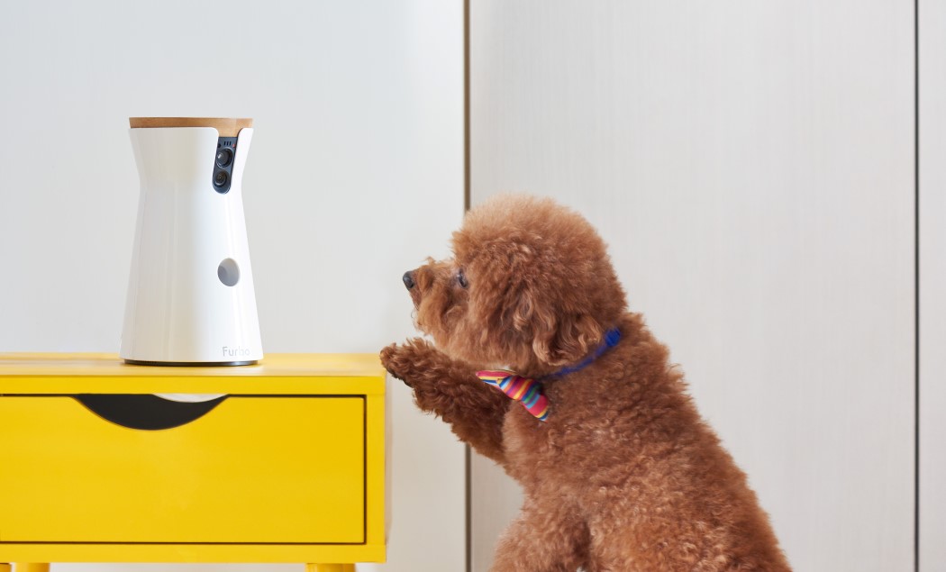 white，Furbo，video camera，