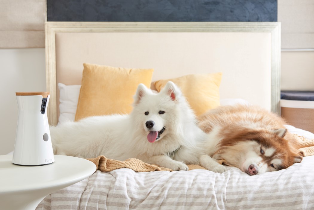 white，Furbo，video camera，