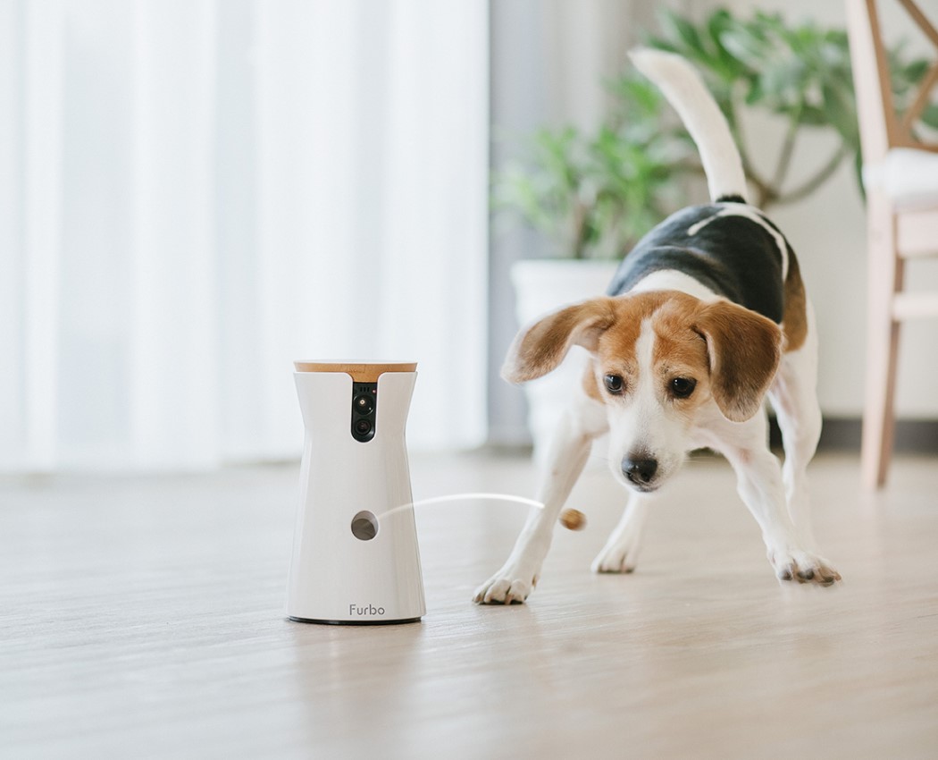 white，Furbo，video camera，