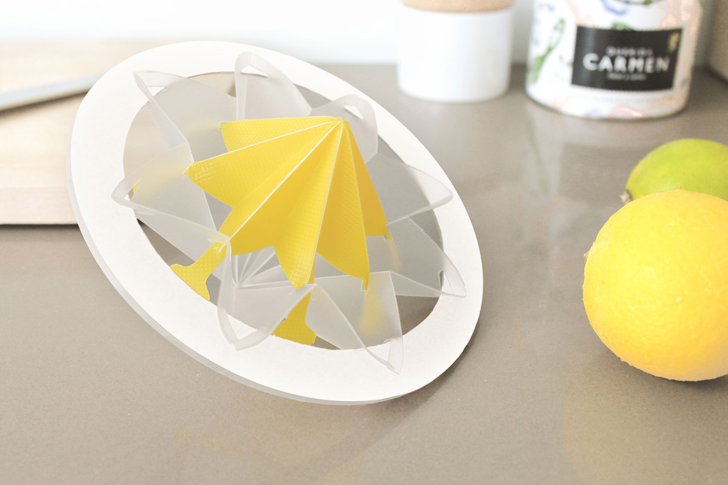 originality，Fien De Clercq，Folding juicing tool，