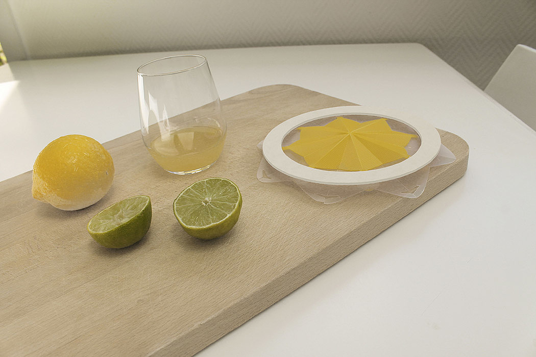 originality，Fien De Clercq，Folding juicing tool，