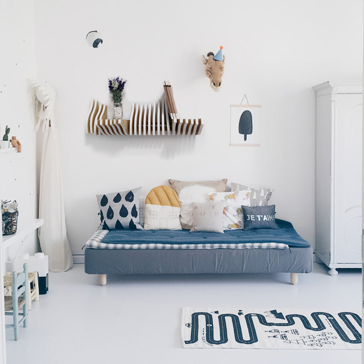 modularization，interactive，Shelf，