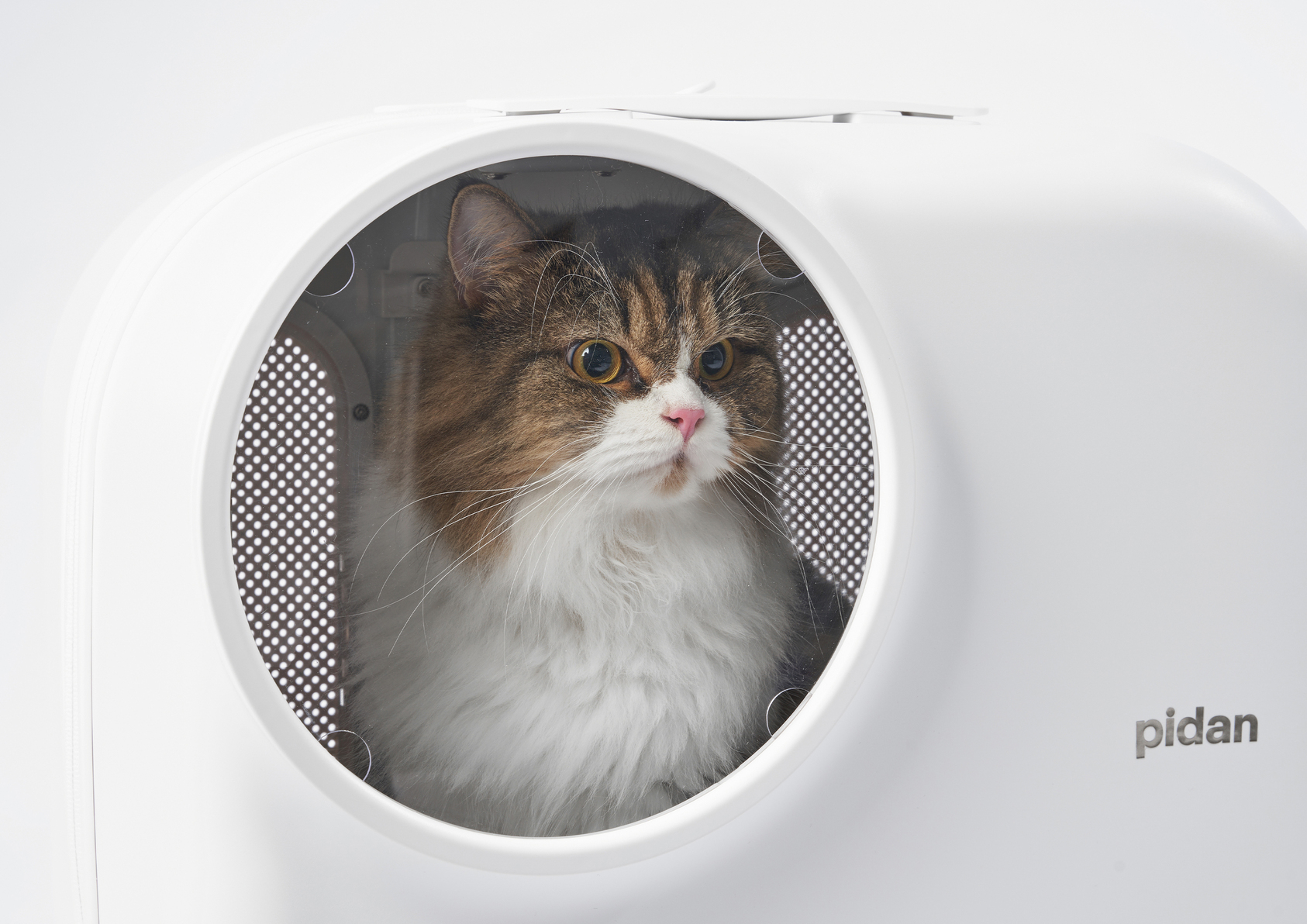 2023 Gold Point Design Award，