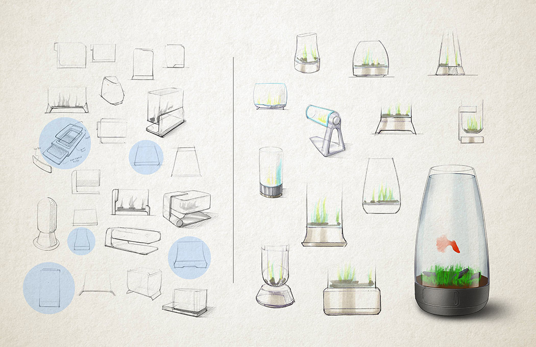 Simplicity，Franco Eduardo，intelligence，fish tank，