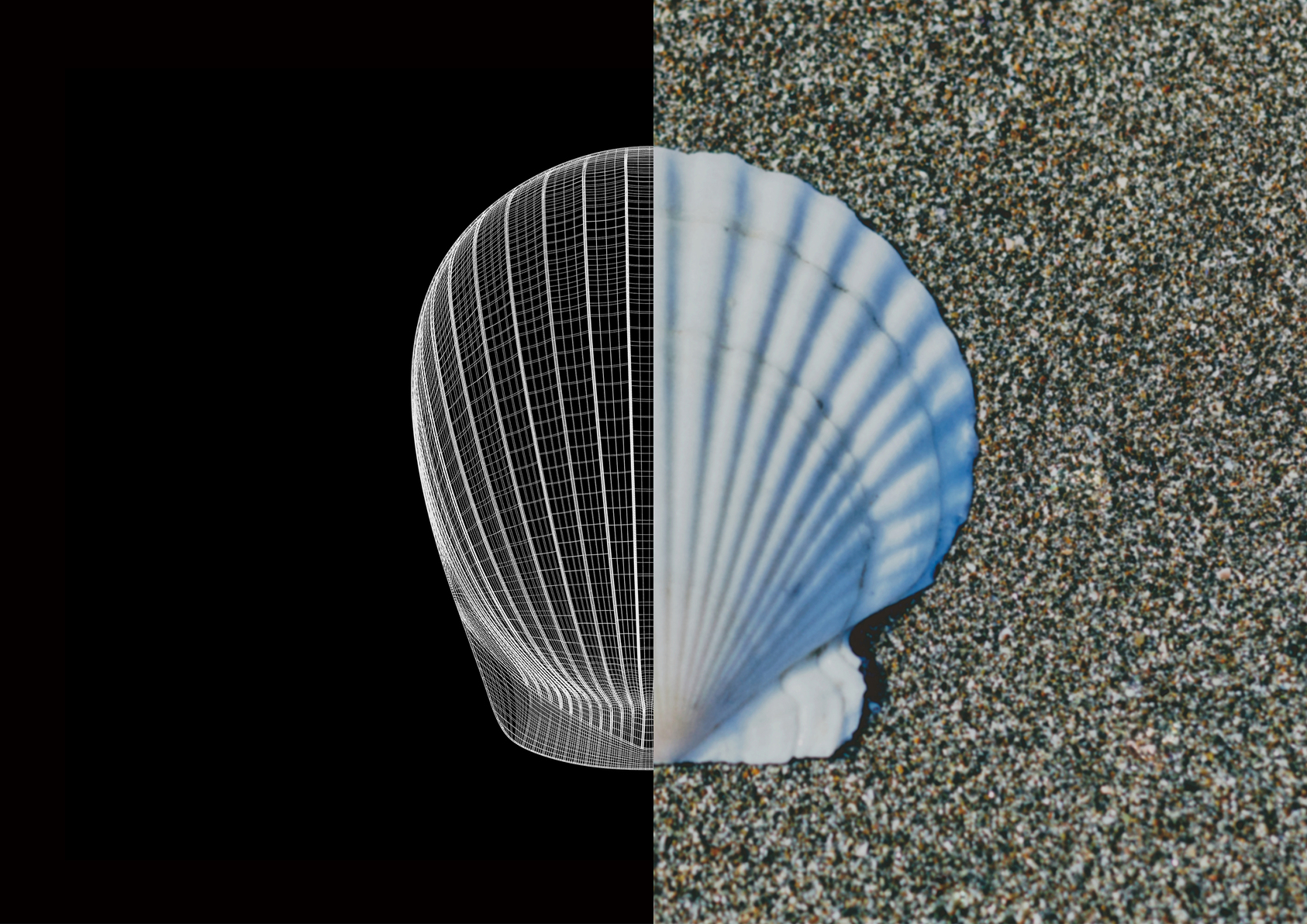 2024 Gold Point Design Award，