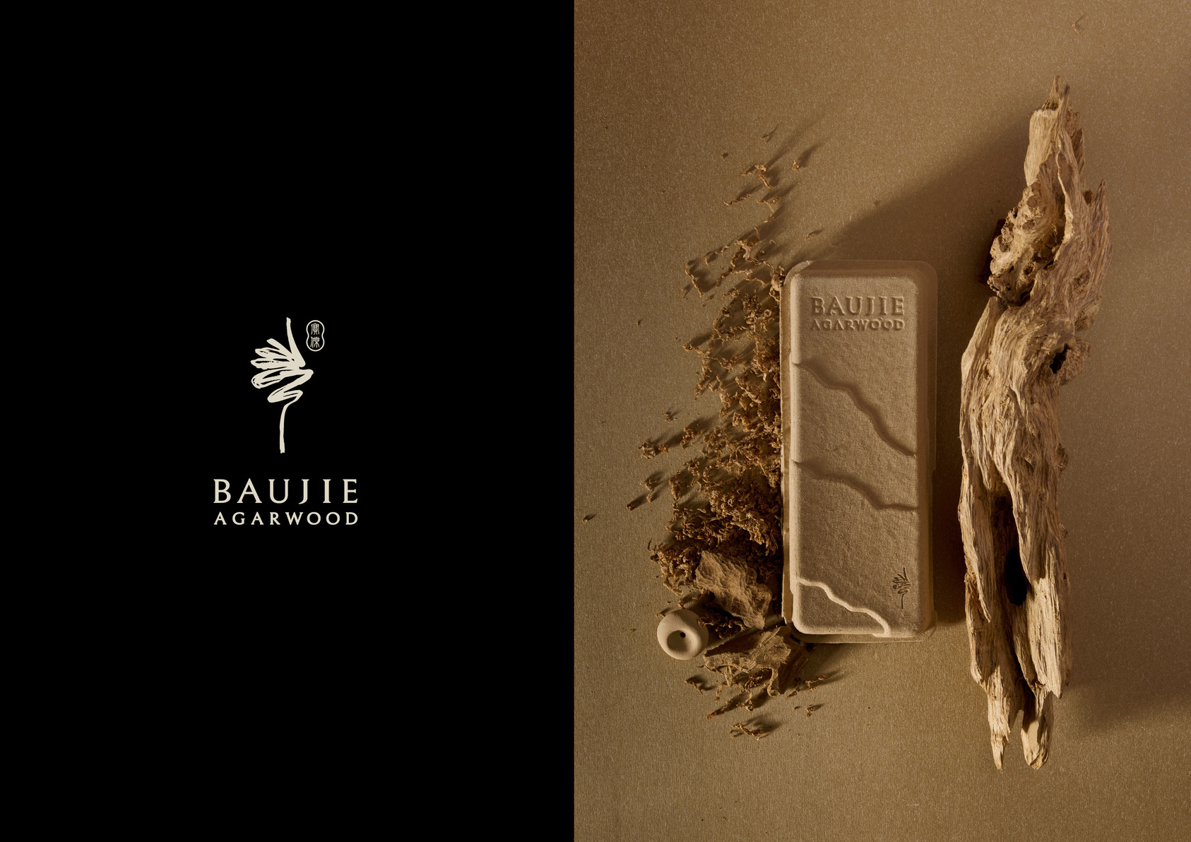 2025 Gold Point Design Award，