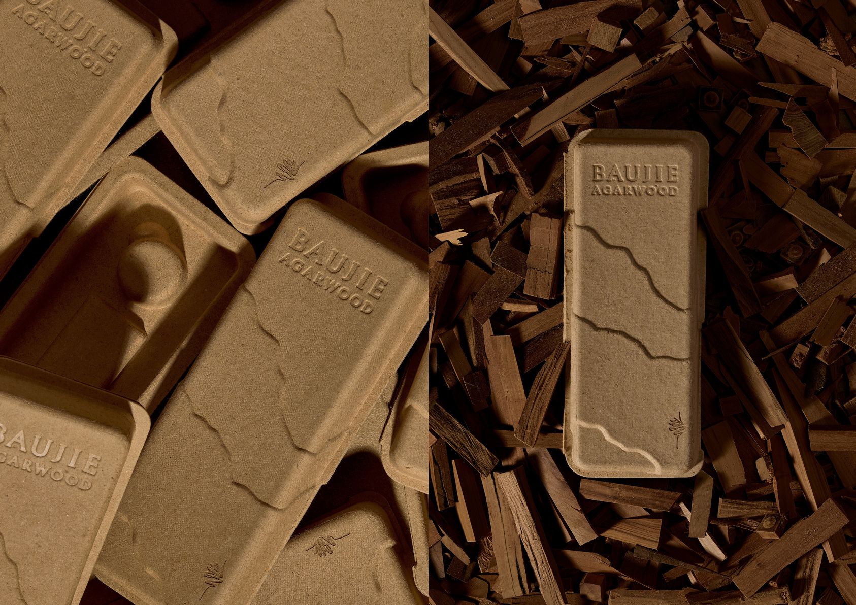 2025 Gold Point Design Award，