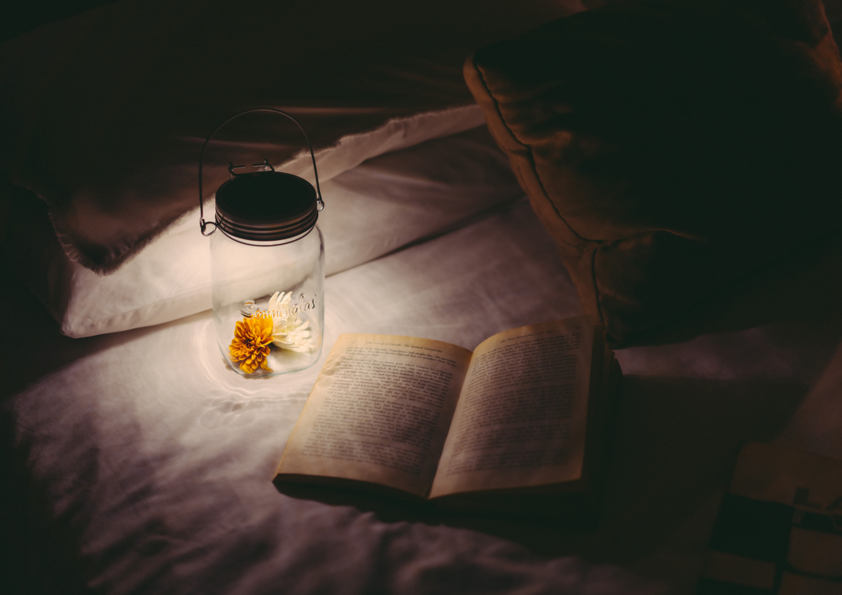 2025 Gold Point Design Award，