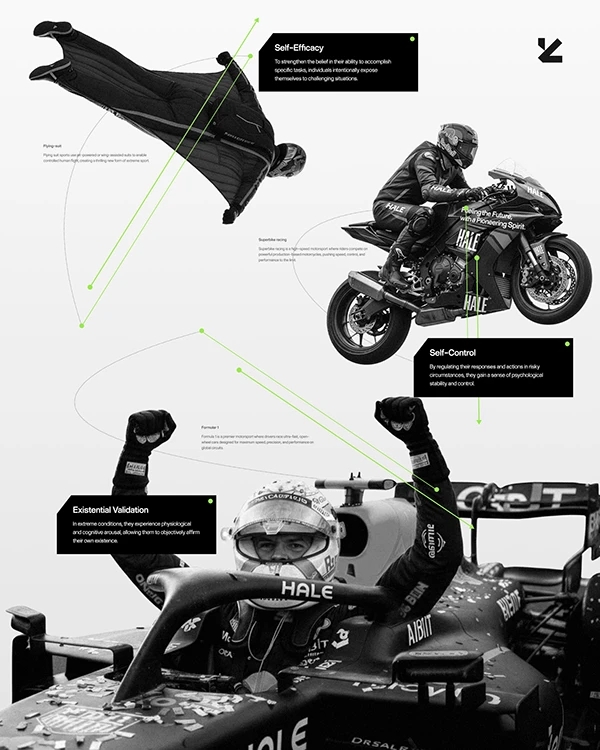 Hale，Flight device，conceptual design，originality，