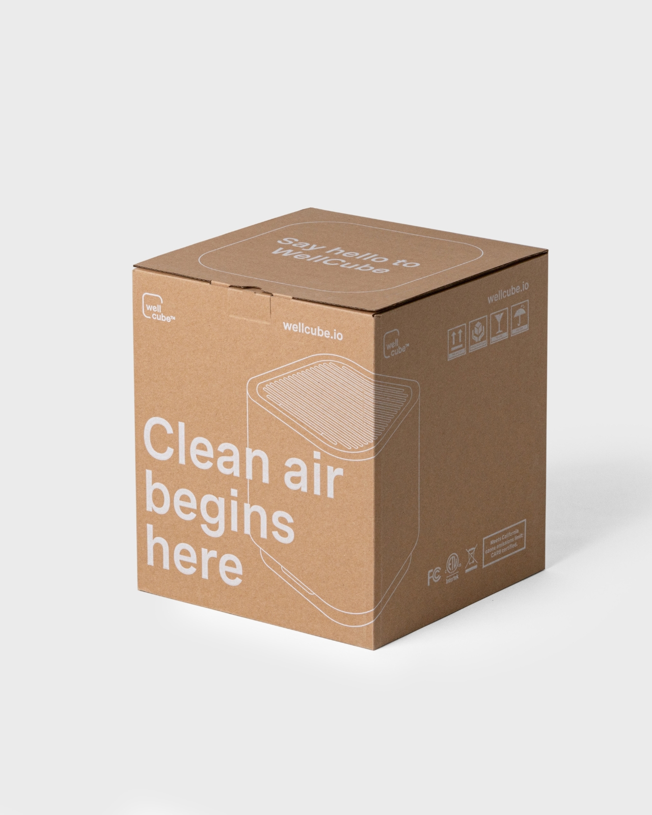 air cleaner，WellCube，Desktop style，Intelligent monitoring，HEPA Filtration，