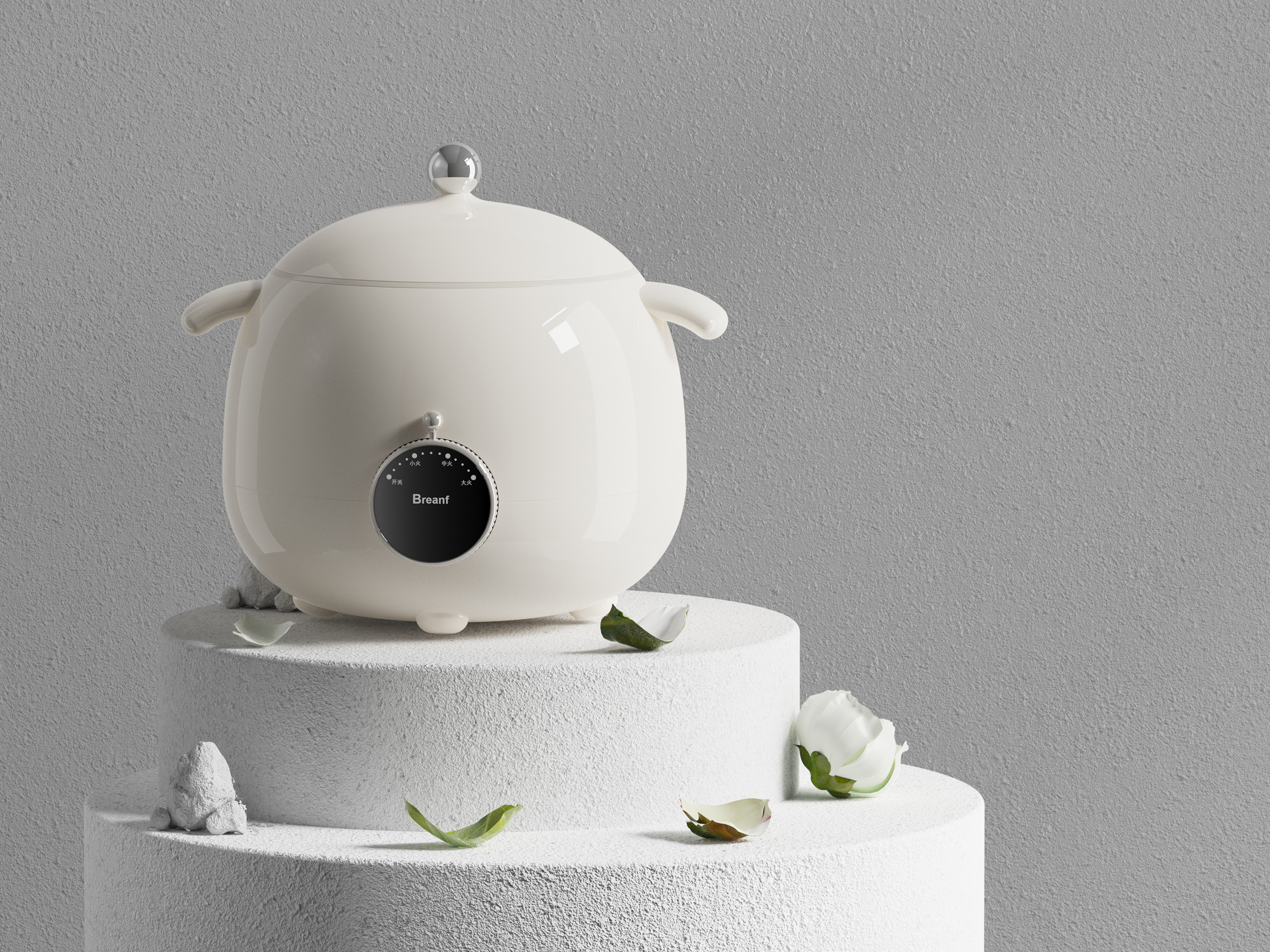 Product Design, Home Appliances, Electric Cooker, Industrial Design, Simple，