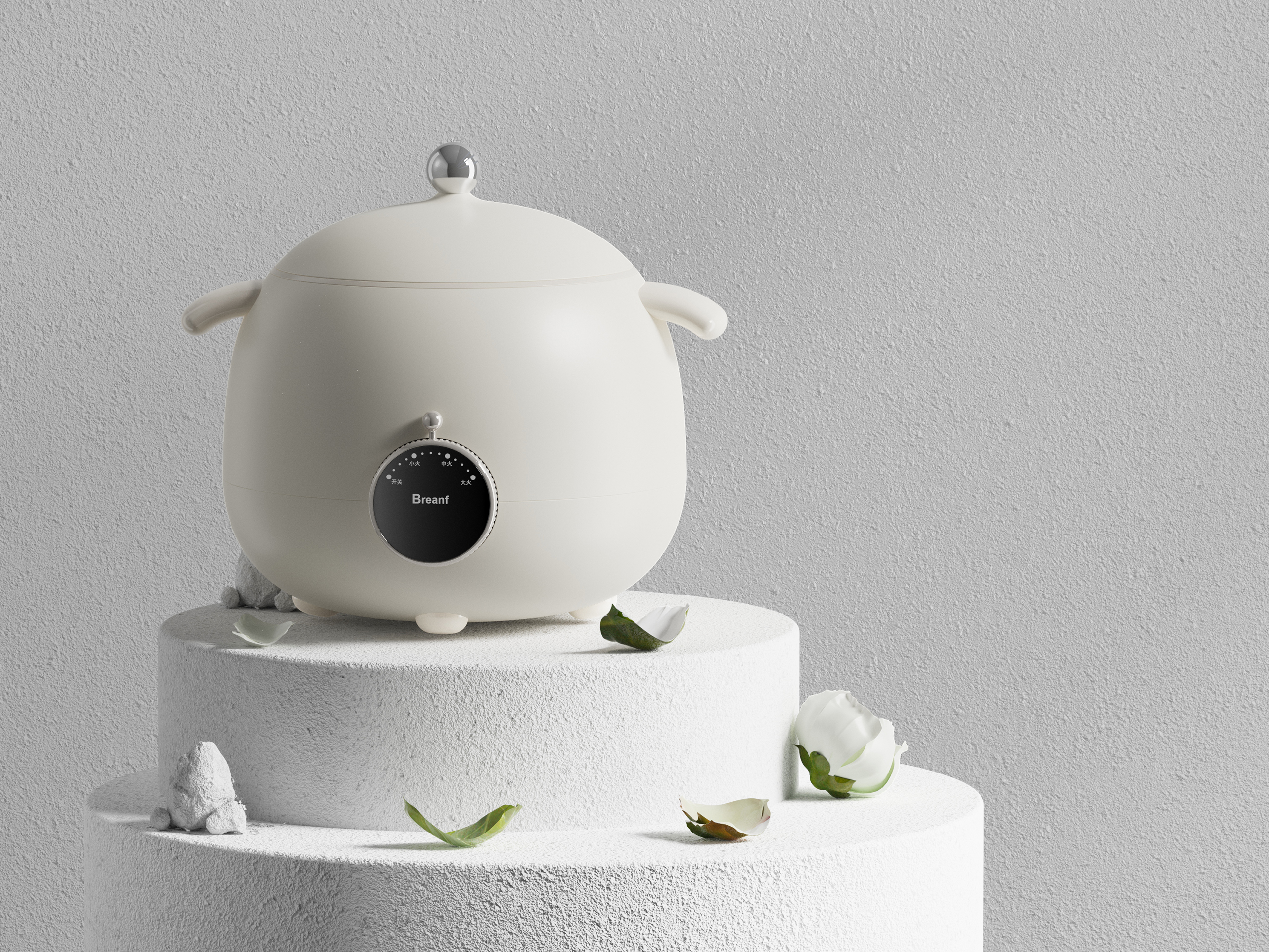 Product Design, Home Appliances, Electric Cooker, Industrial Design, Simple，