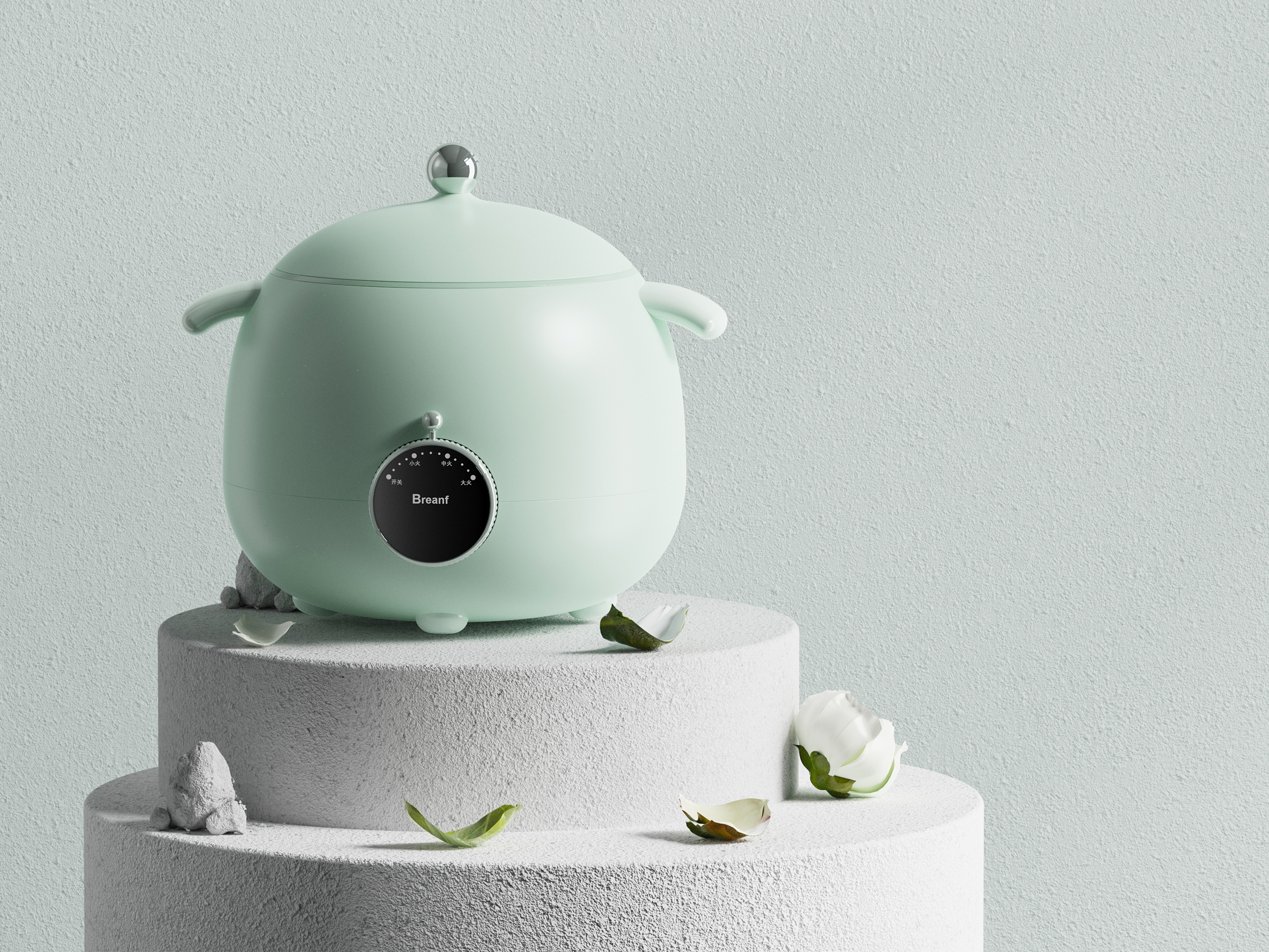 Product Design, Home Appliances, Electric Cooker, Industrial Design, Simple，