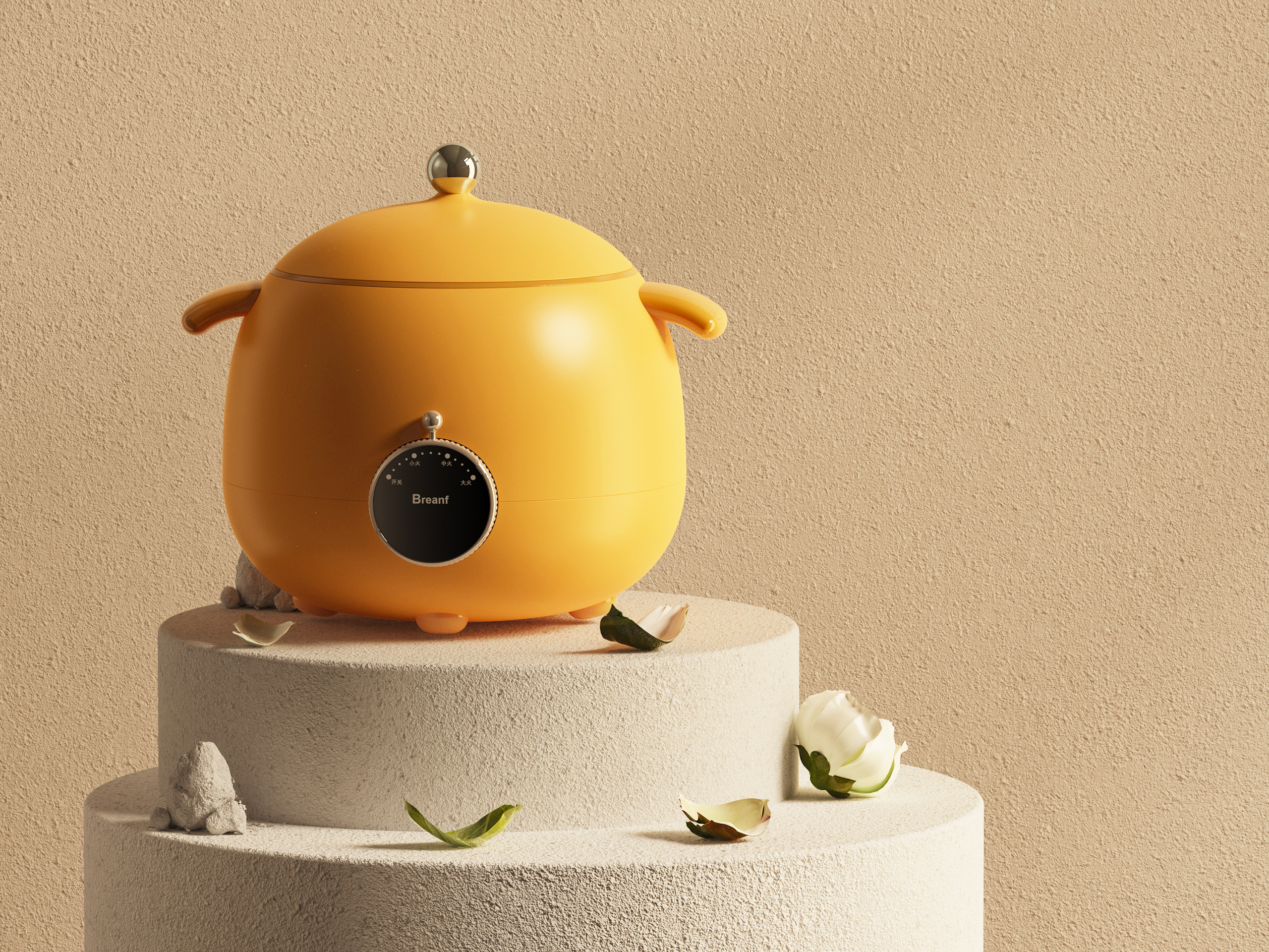 Product Design, Home Appliances, Electric Cooker, Industrial Design, Simple，