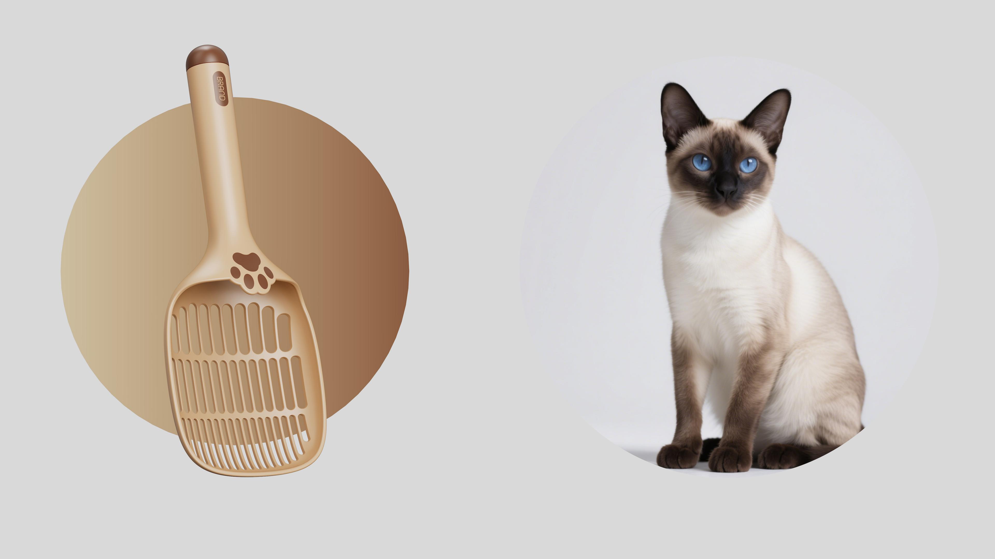 Cat litter shovel，Host，Servant，