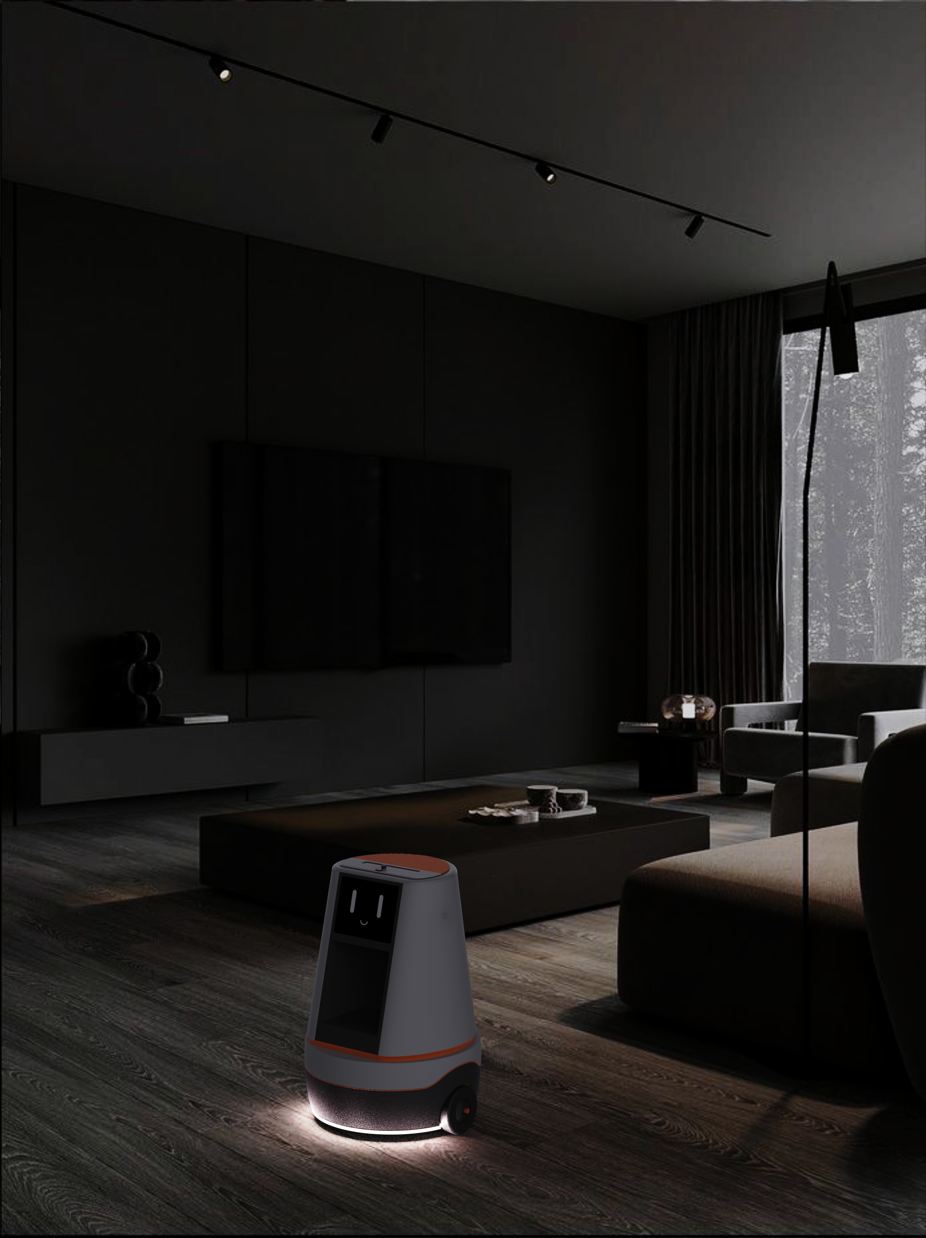 Aging，accompany，medication reminder，healthy，robot，interactive，security，