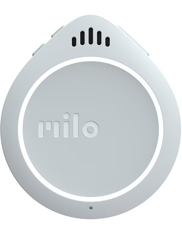 circular，inspiration，