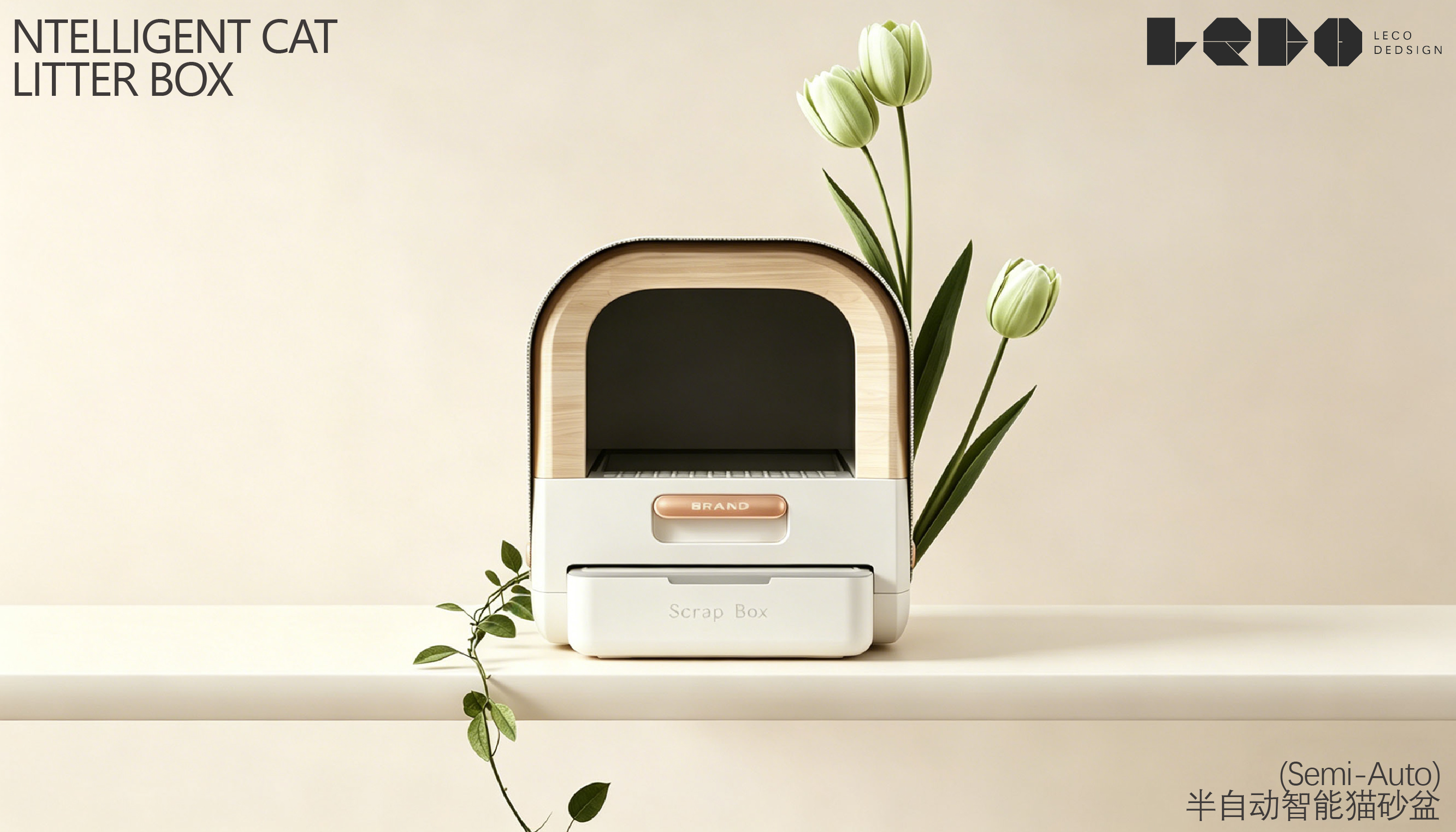 Appearance design，