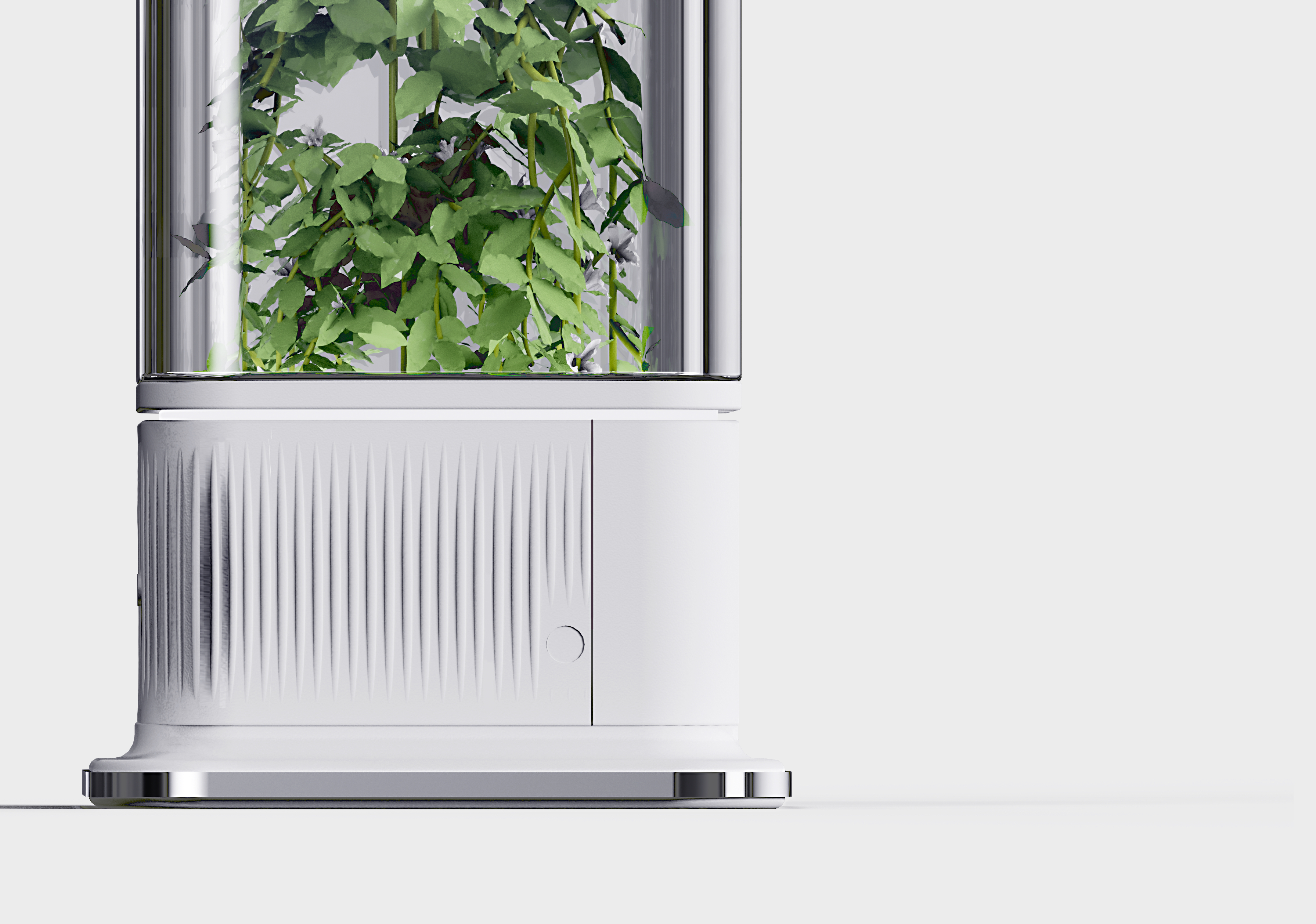 desktop，decompression，cure，Botany，Green plant，
