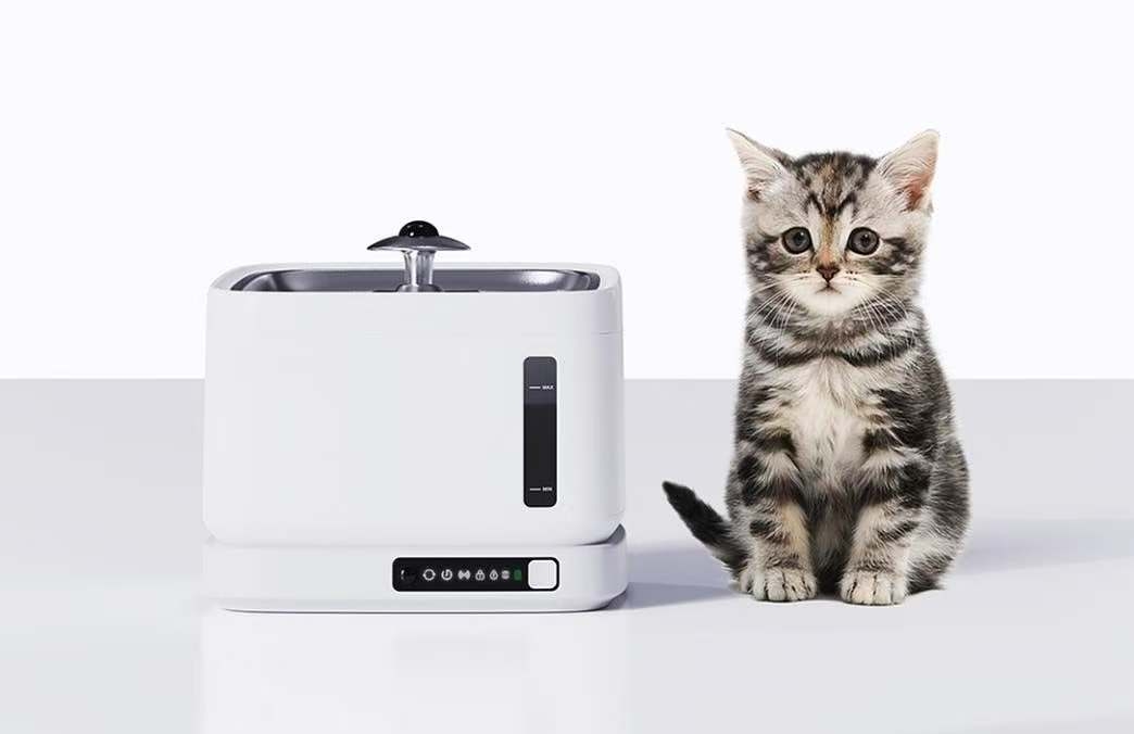 Pet water dispenser, water dispenser, water feeder，