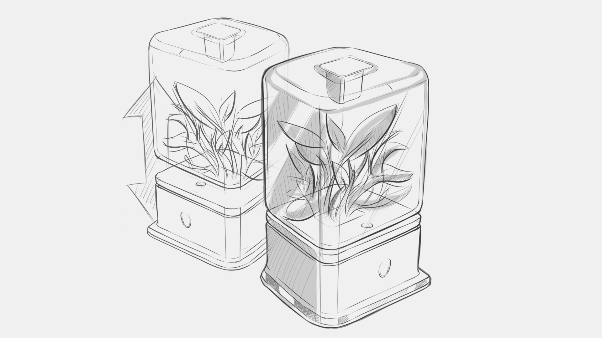 desktop，decompression，cure，Botany，Green plant，