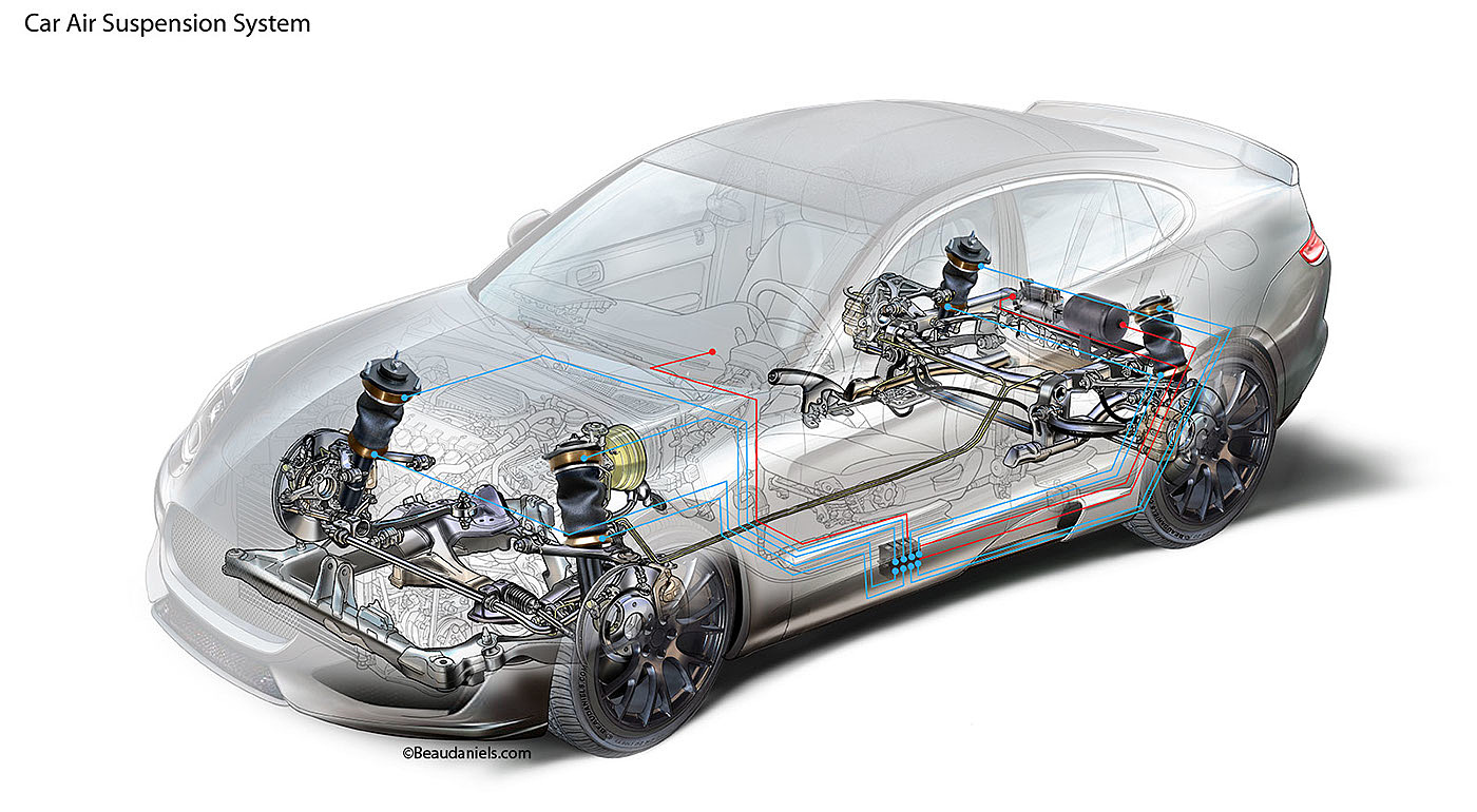 anatomical drawing，automobile，system，