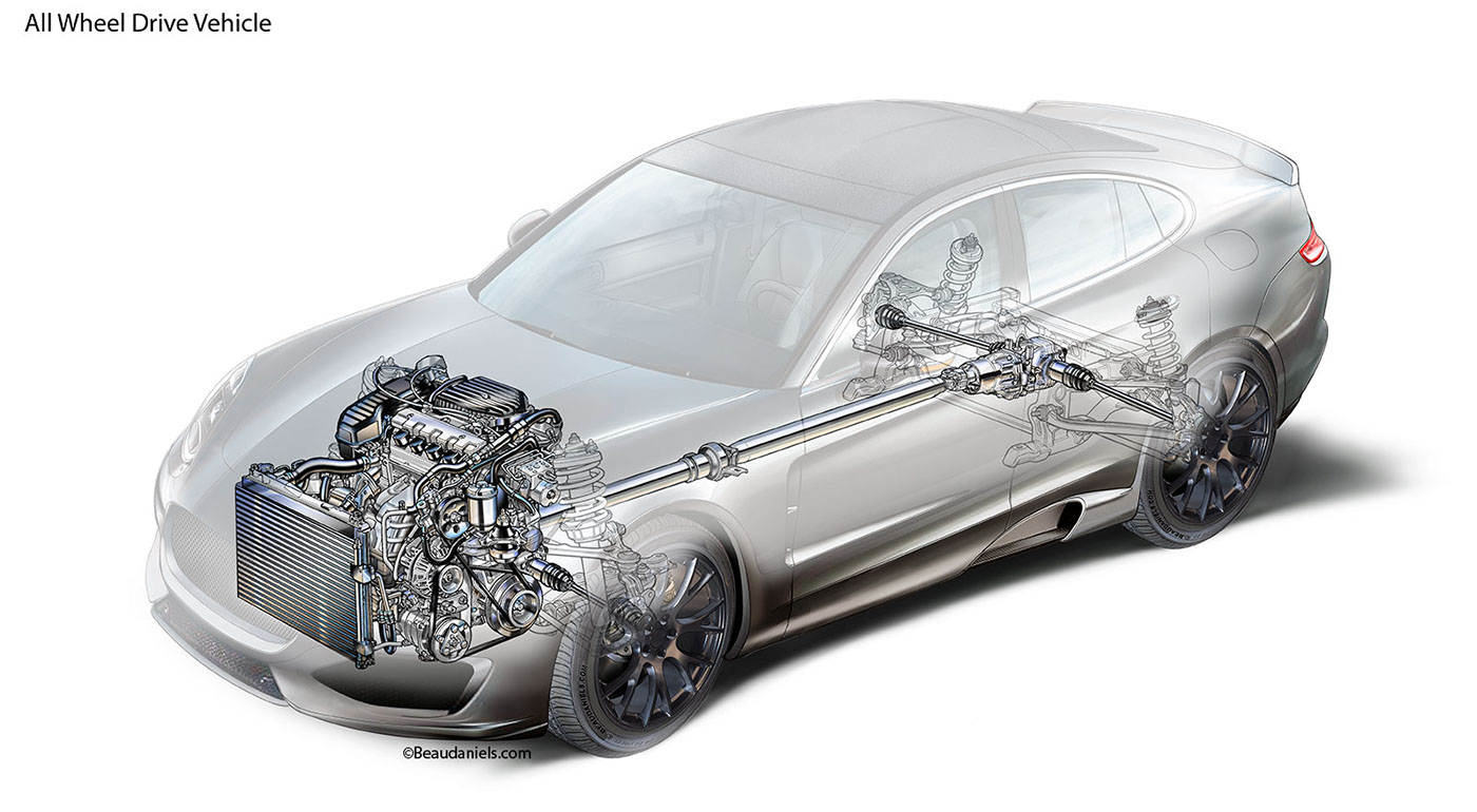 anatomical drawing，automobile，system，