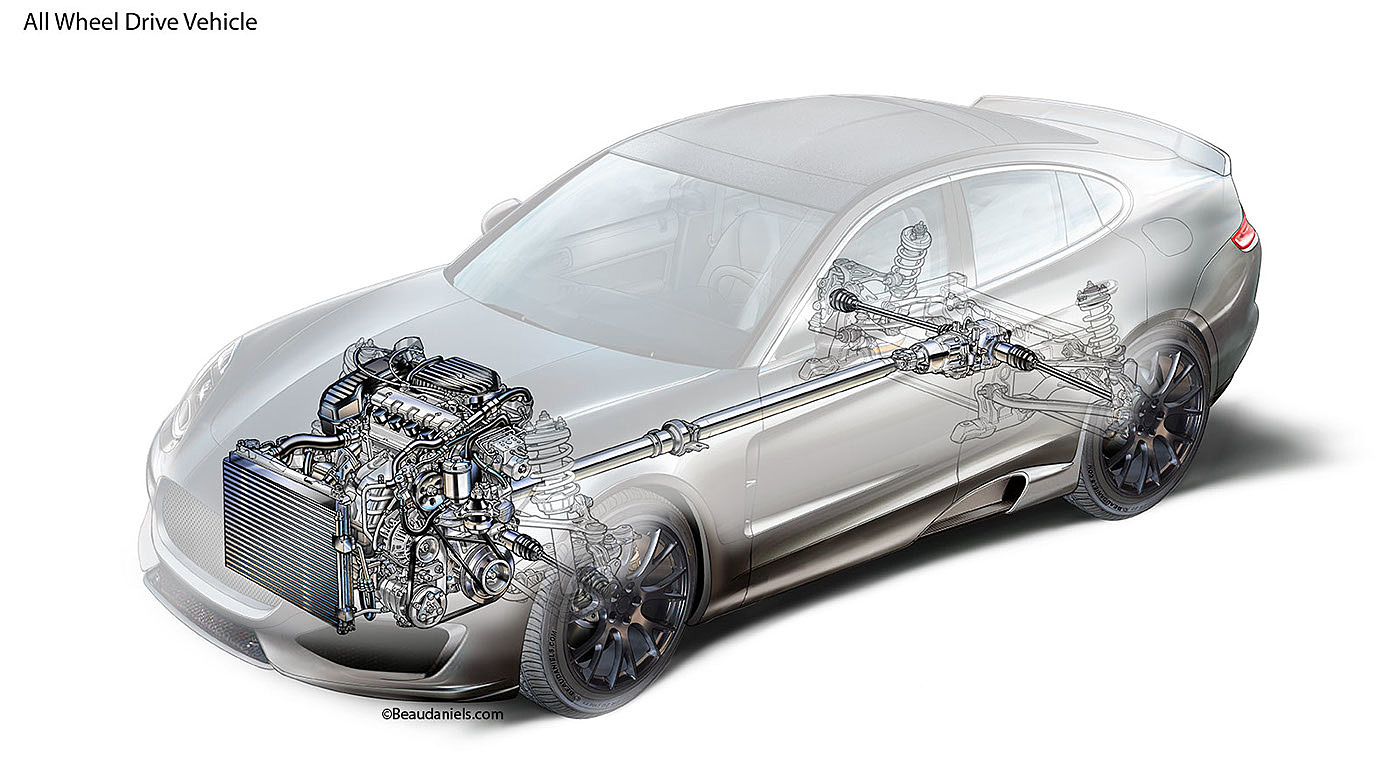 anatomical drawing，automobile，system，