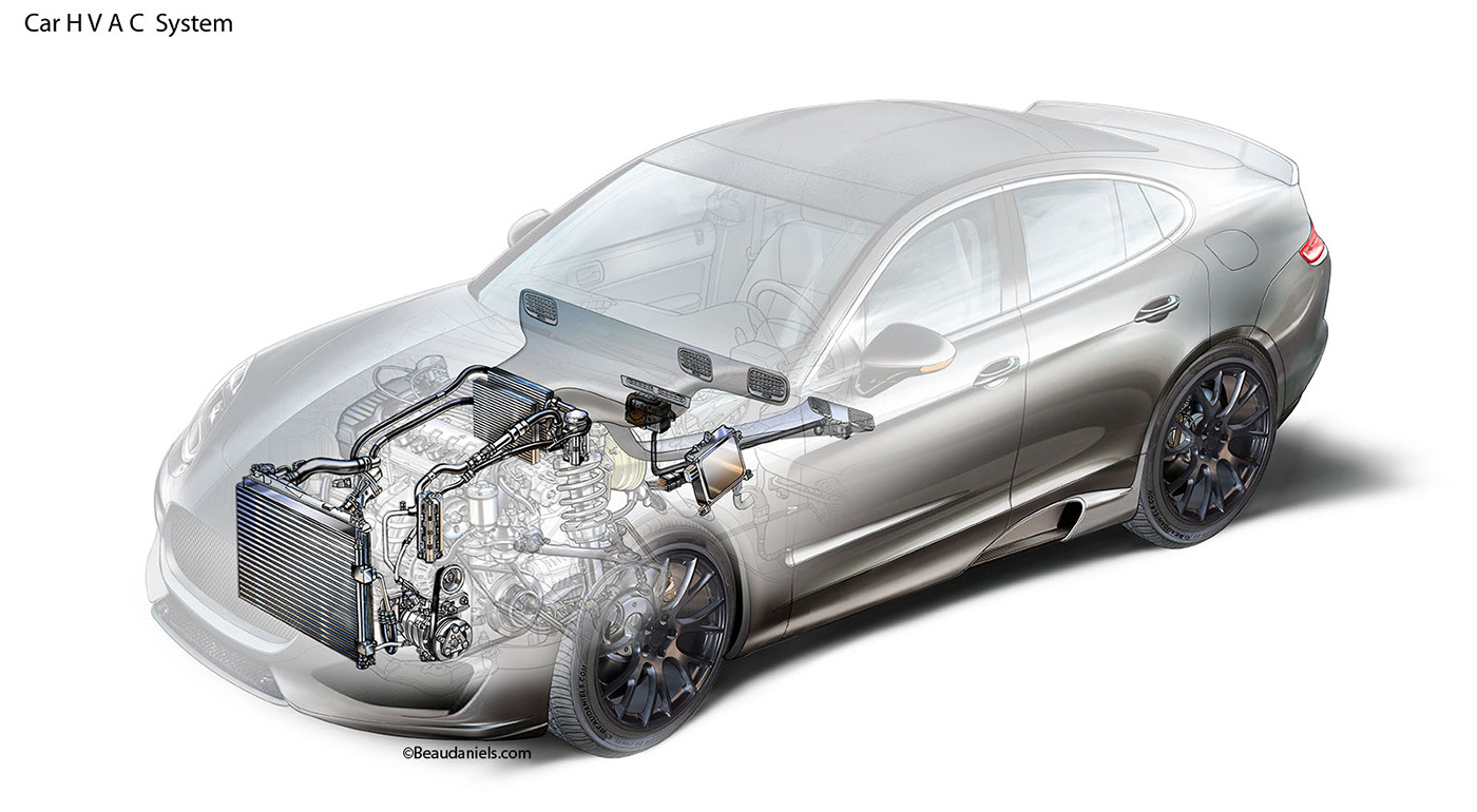 anatomical drawing，automobile，system，